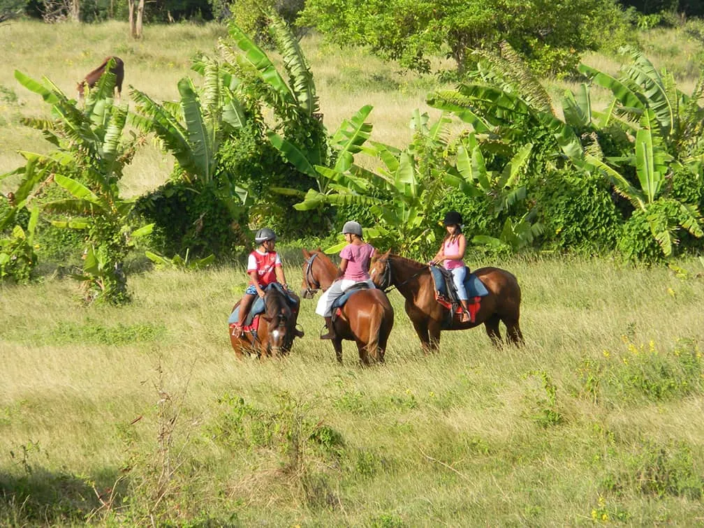 three riders in countryside