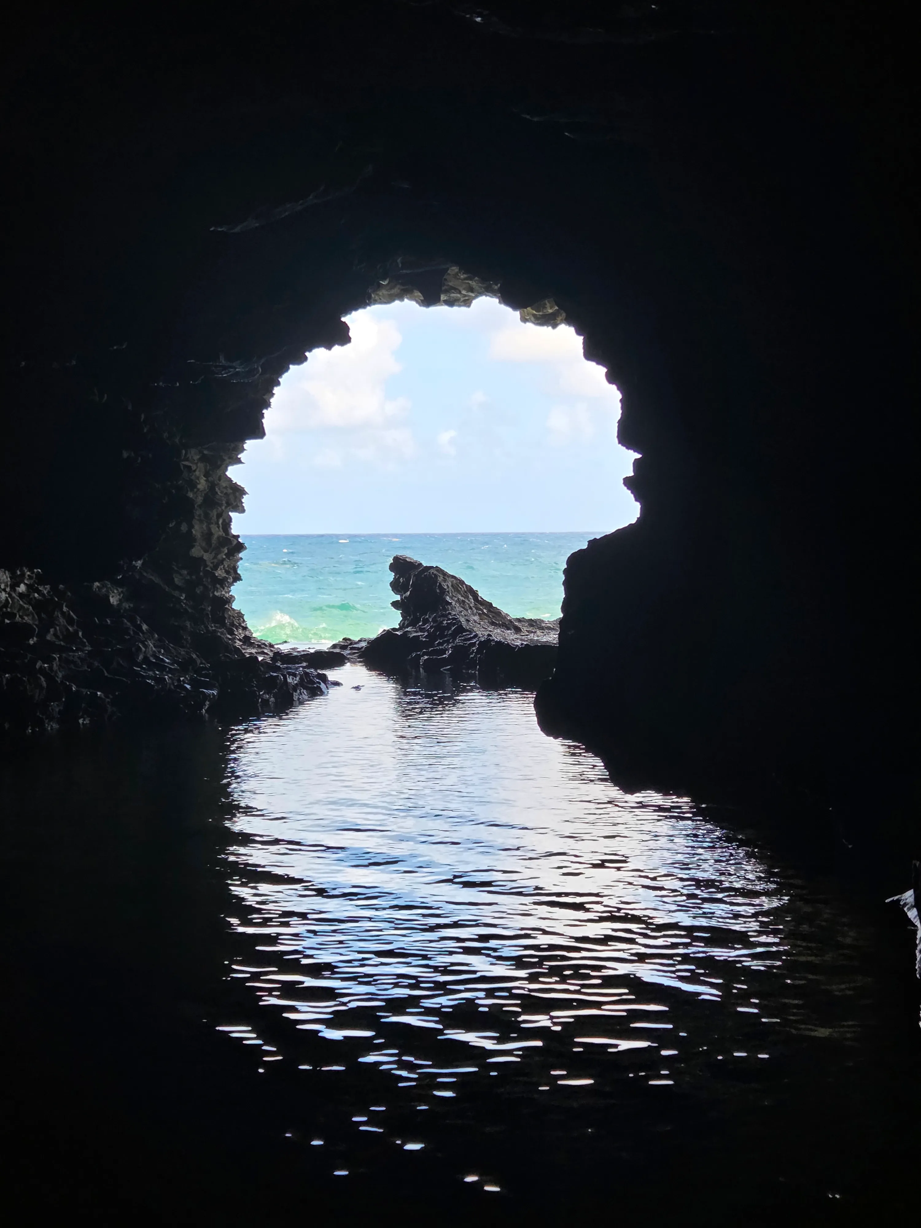 Barbados-Animal-Flower-Cave-Swim-Place