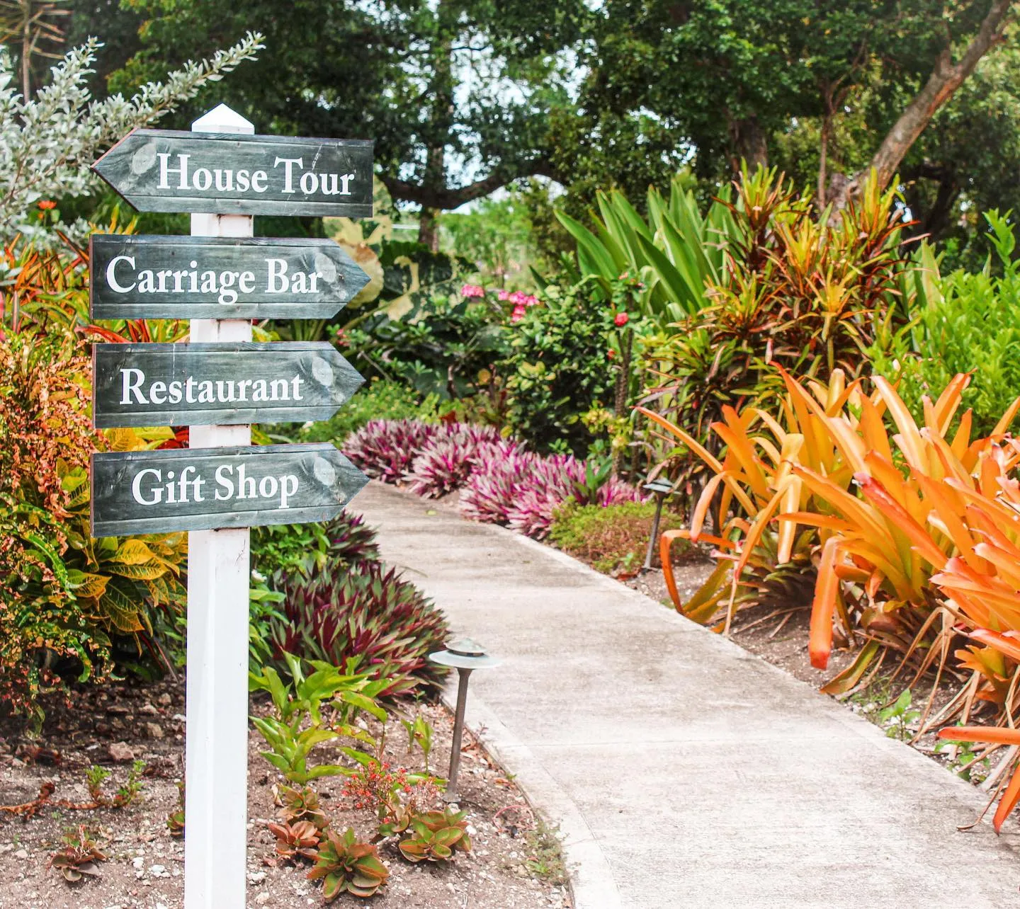 Places to visit on site