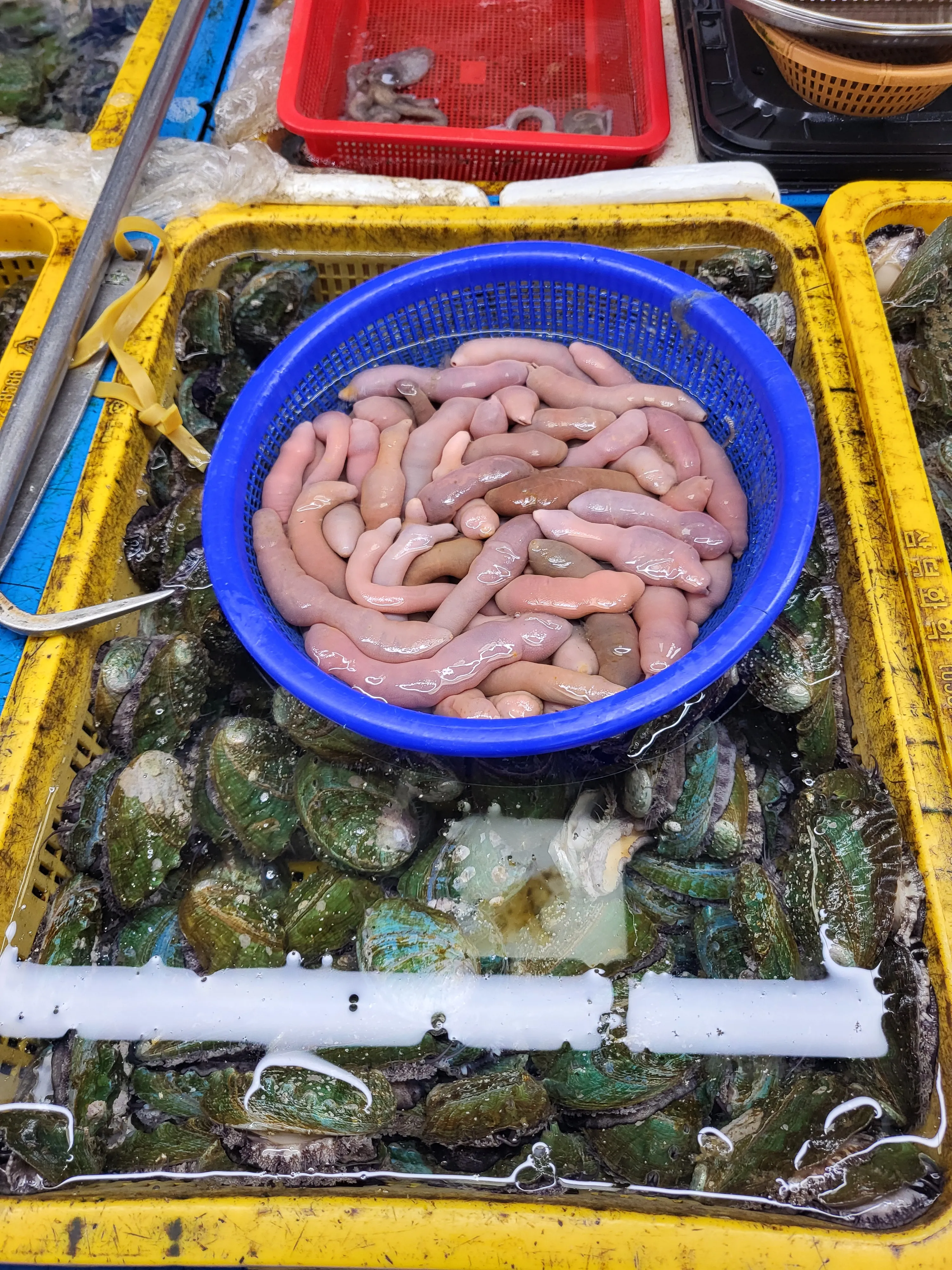 Oistens Fish Market