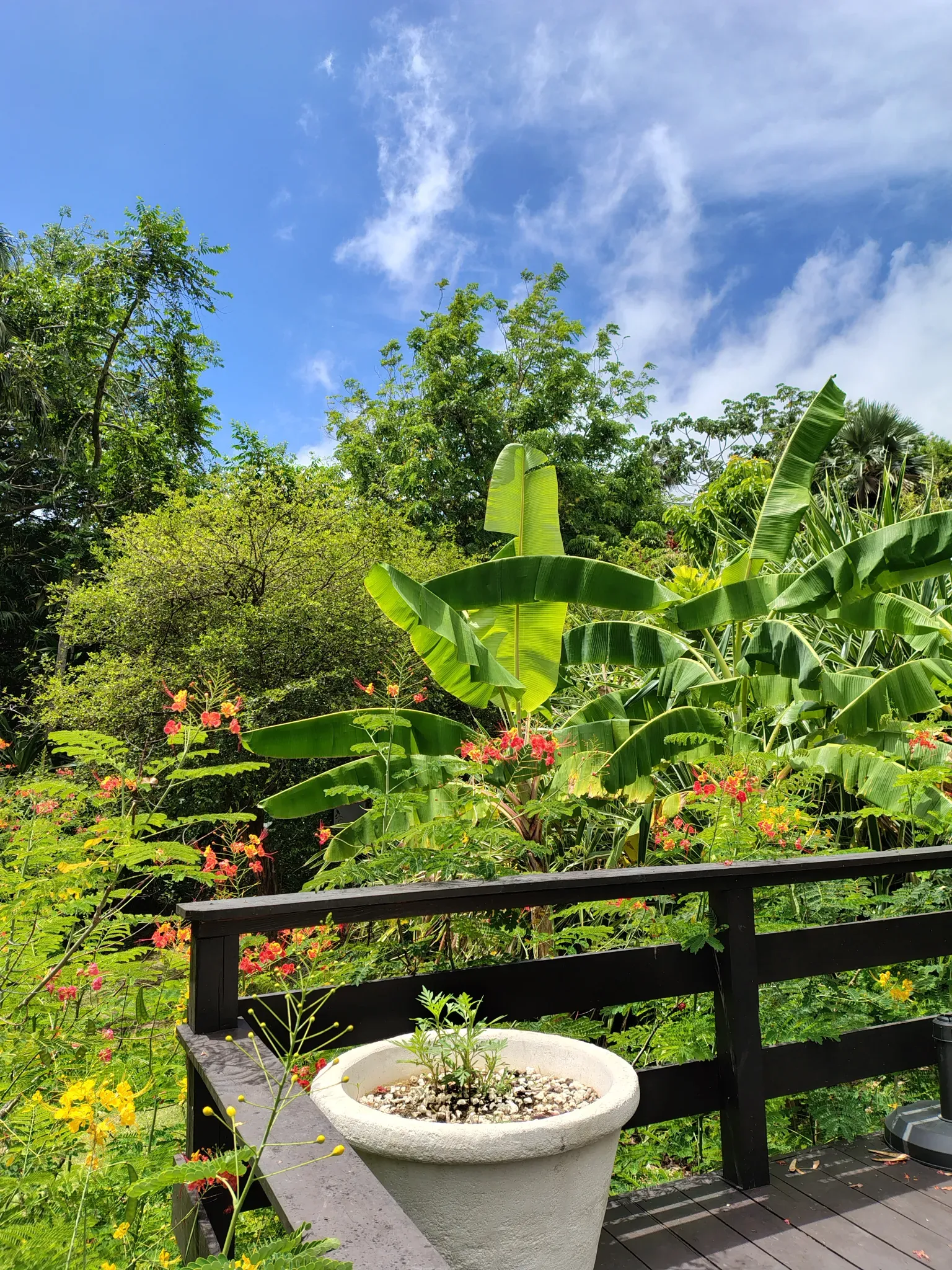 Andromeda Botanic Garden