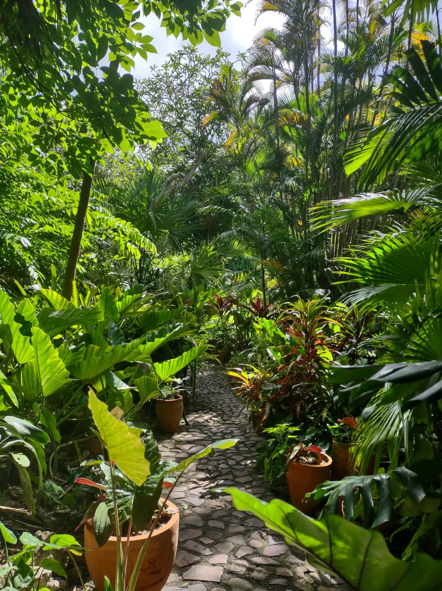 Andromeda Botanic Gardens