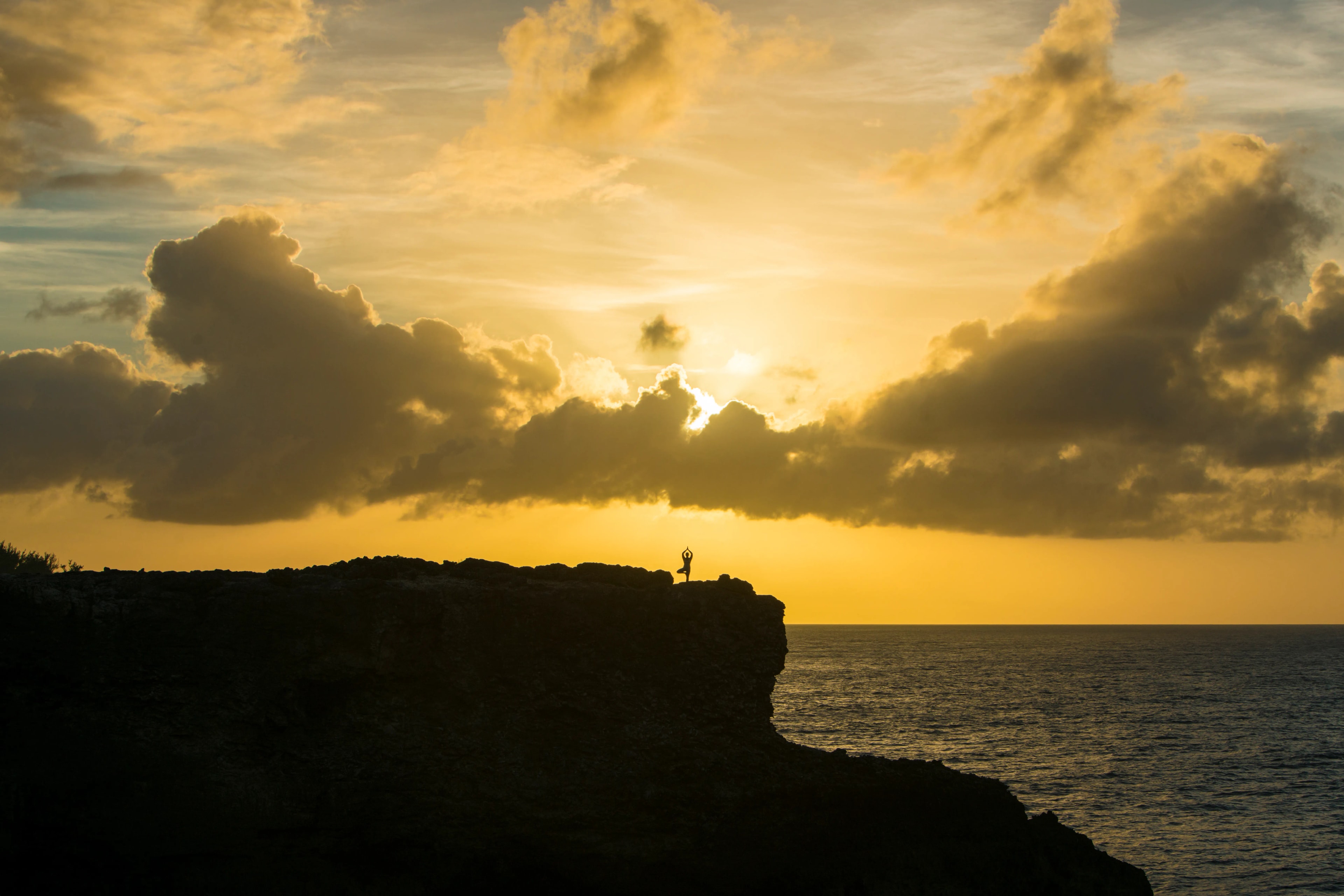 Barbados-Animal-Flower-Outside-sunset-yoga-BTMI