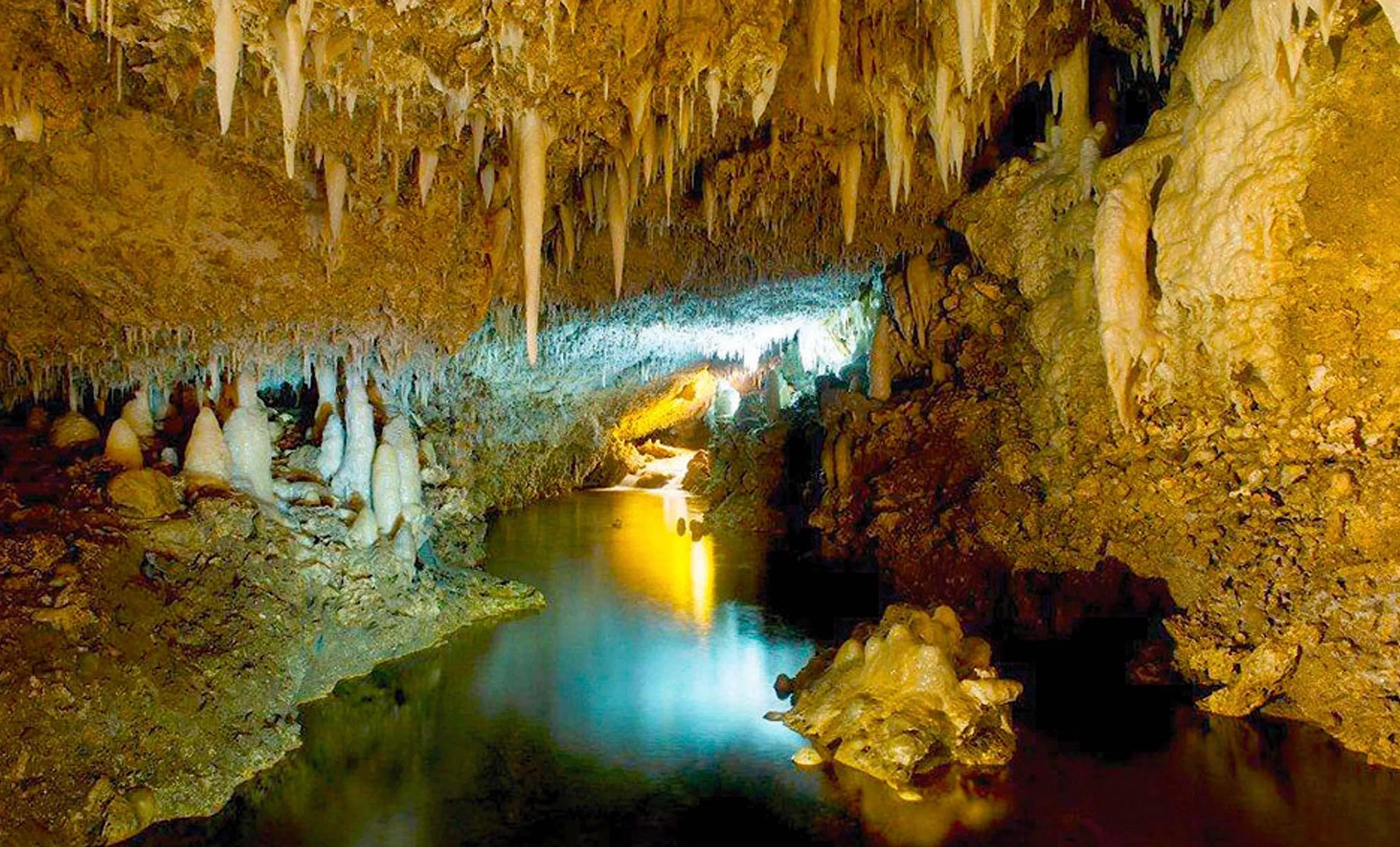 Harrison's Cave Eco-Adventure Park