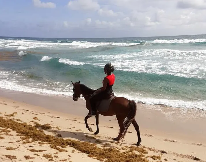 Jahworks Equestrian Center