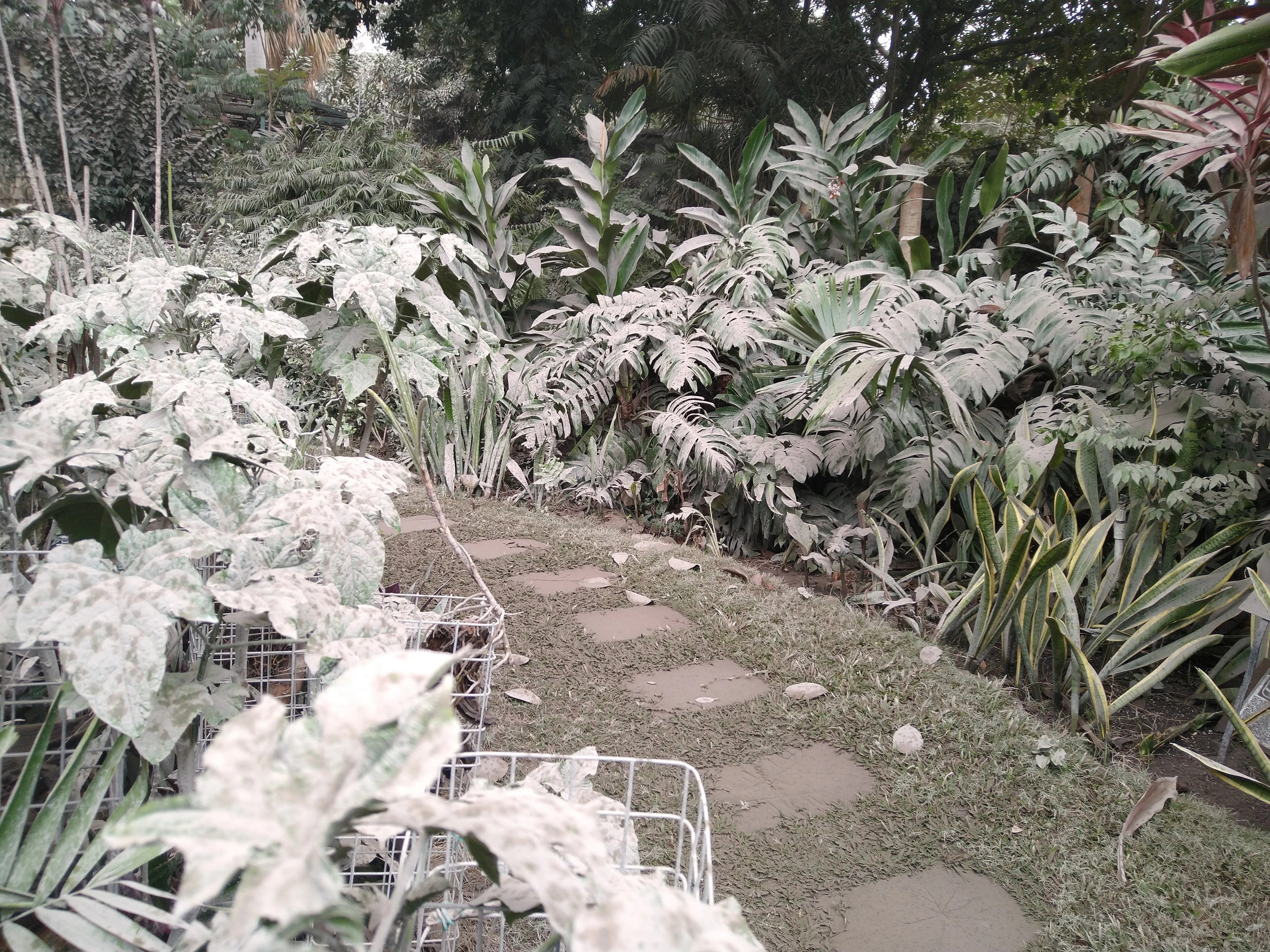 Andromeda Botanic Garden