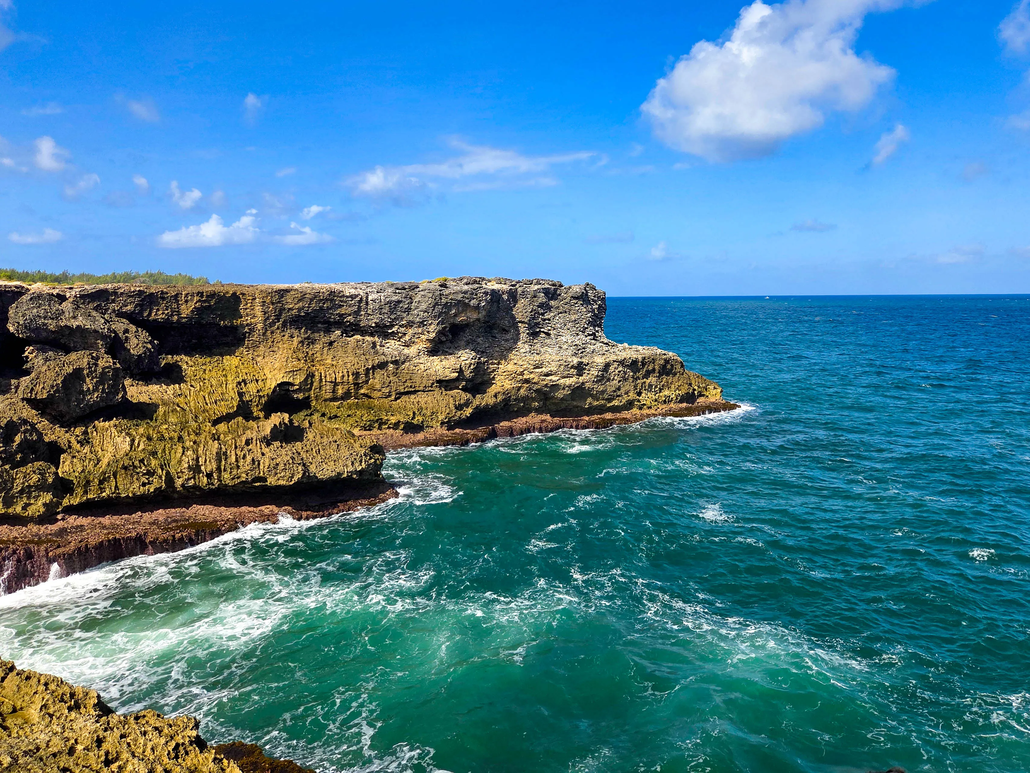 Barbados_Animal_Flower_Cave_Outside_NoModel.jpg