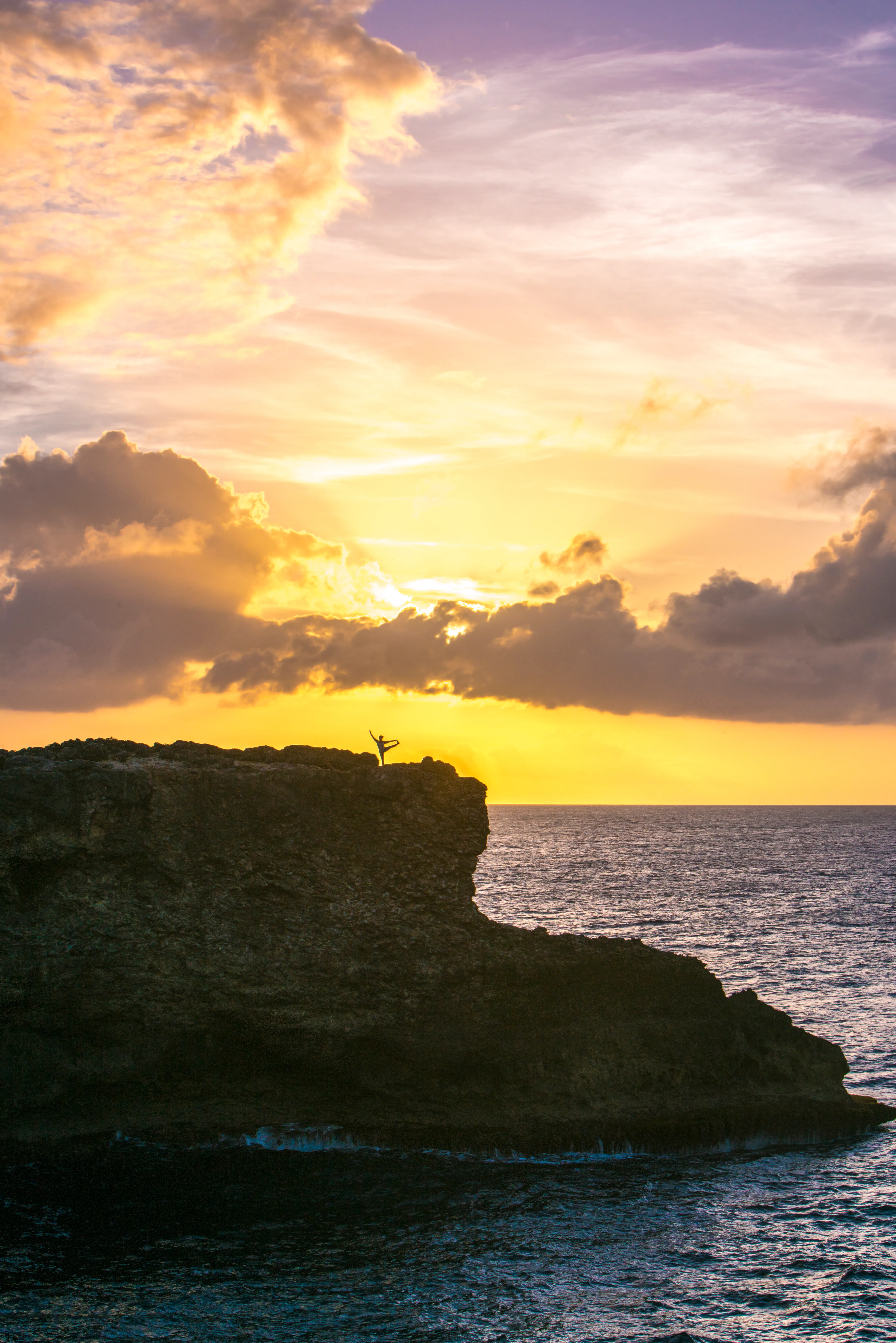 Barbados_Animal-Flower-Outside-Yoga-BTMI-Vertical.jpg