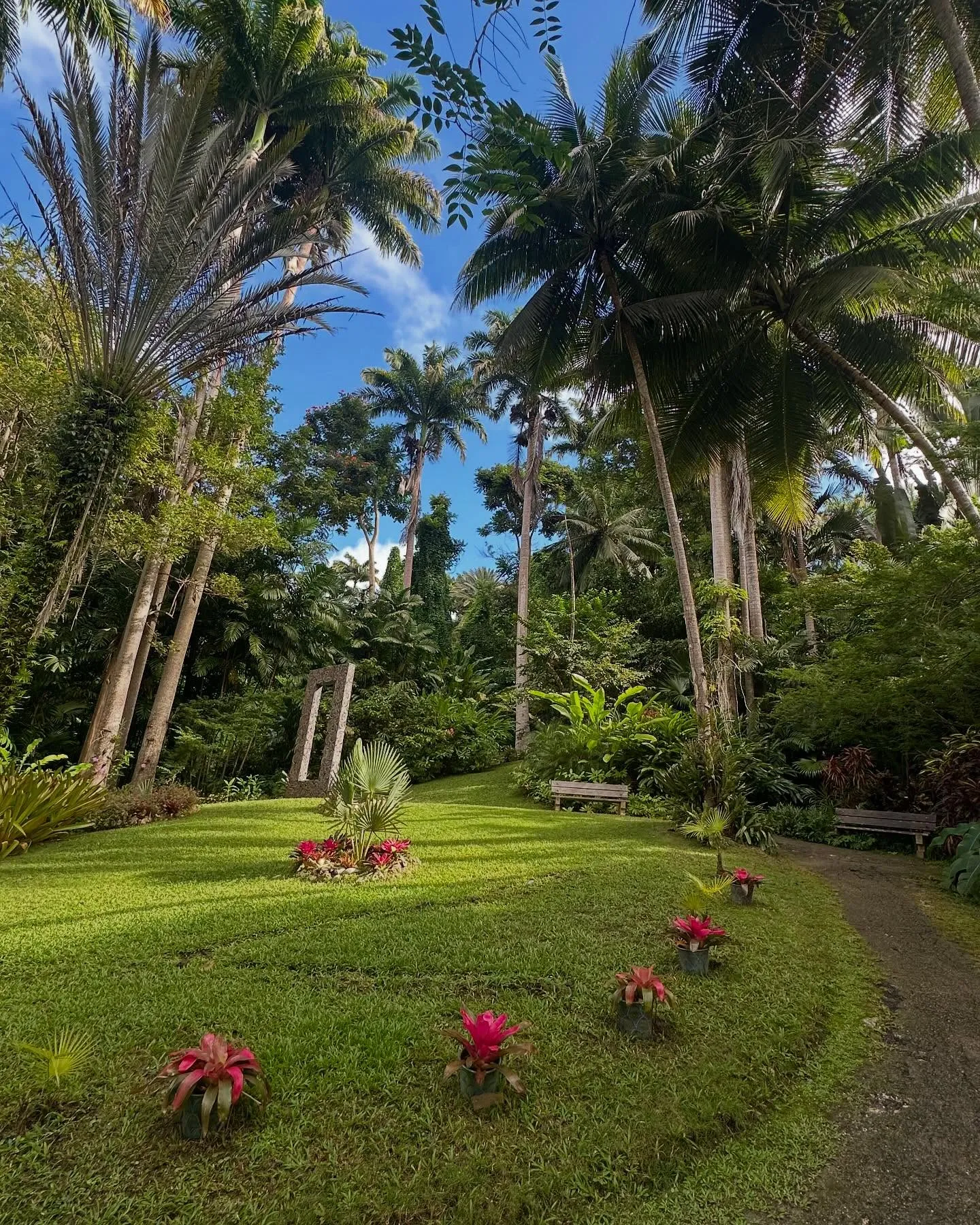 BarbadosBarbadosFlowerForestGardenViewUp