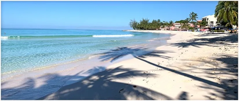 Best of Barbados Gifts