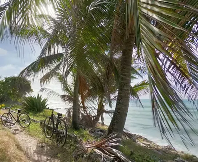 Bike Caribbean