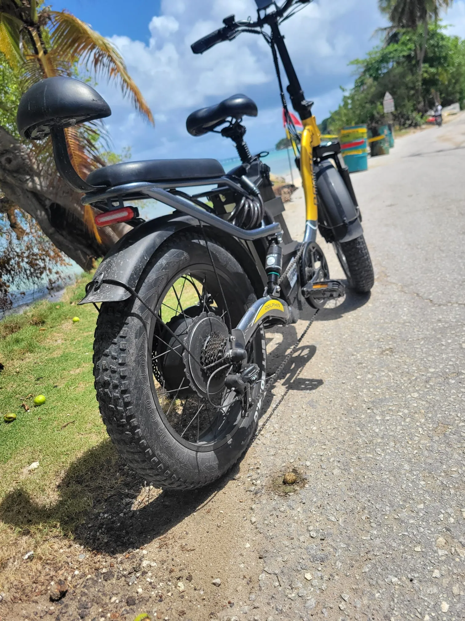 Captain Larry's Ebikes
