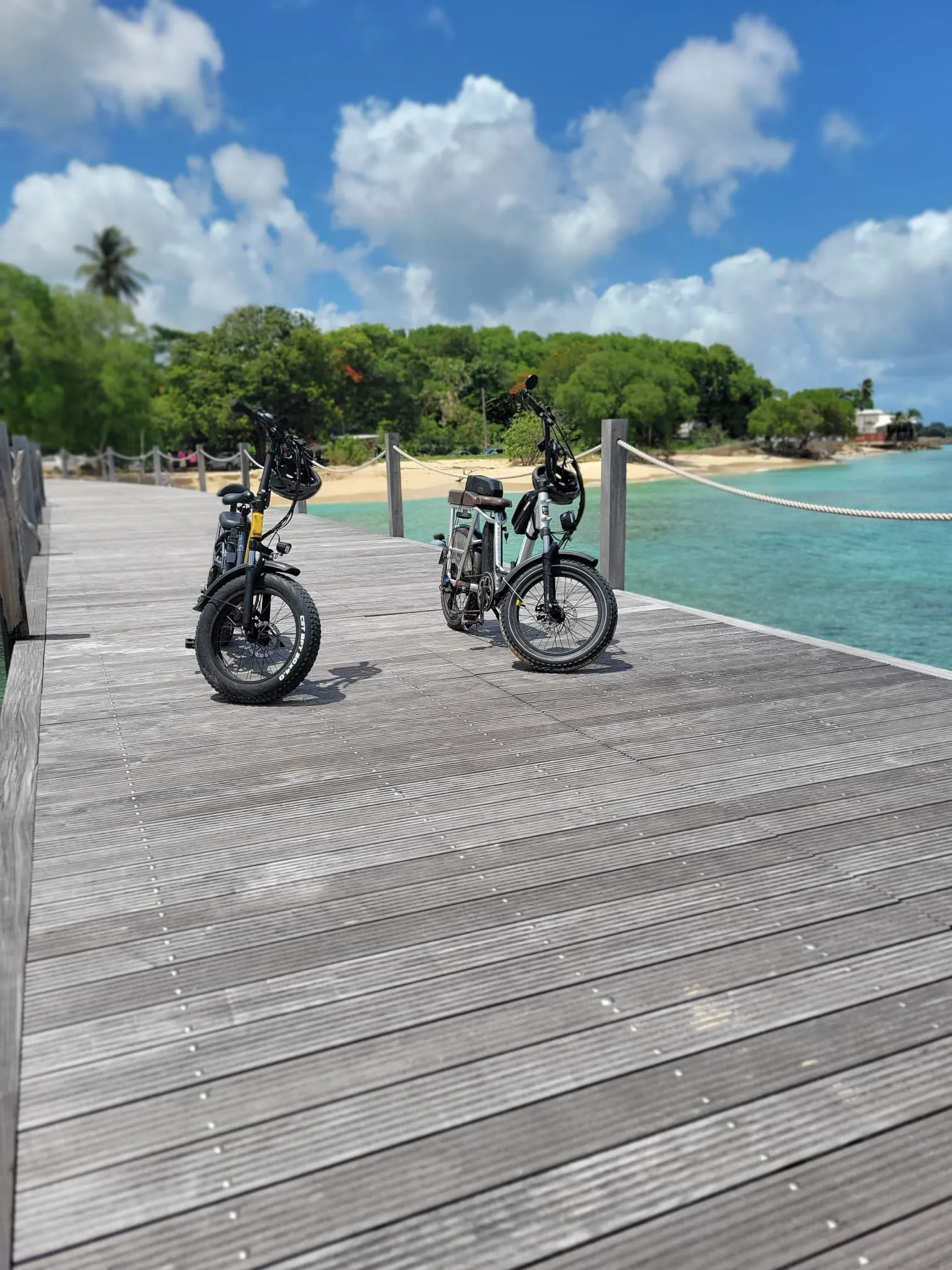 Captain Larry's Ebikes