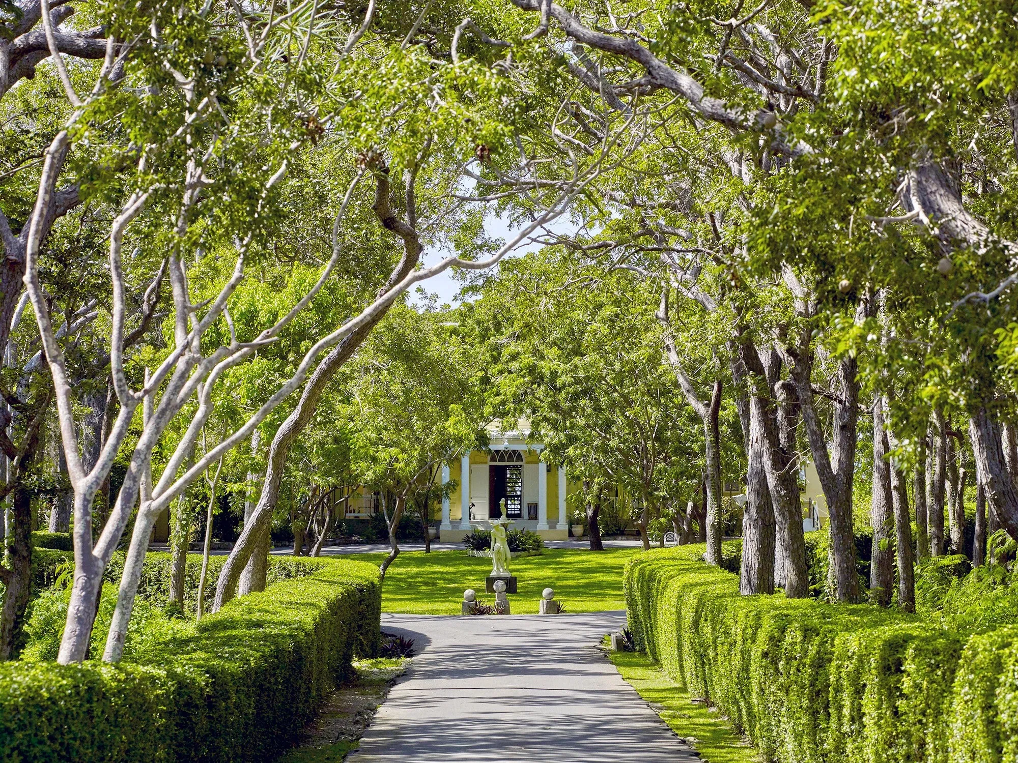 Colleton Great House