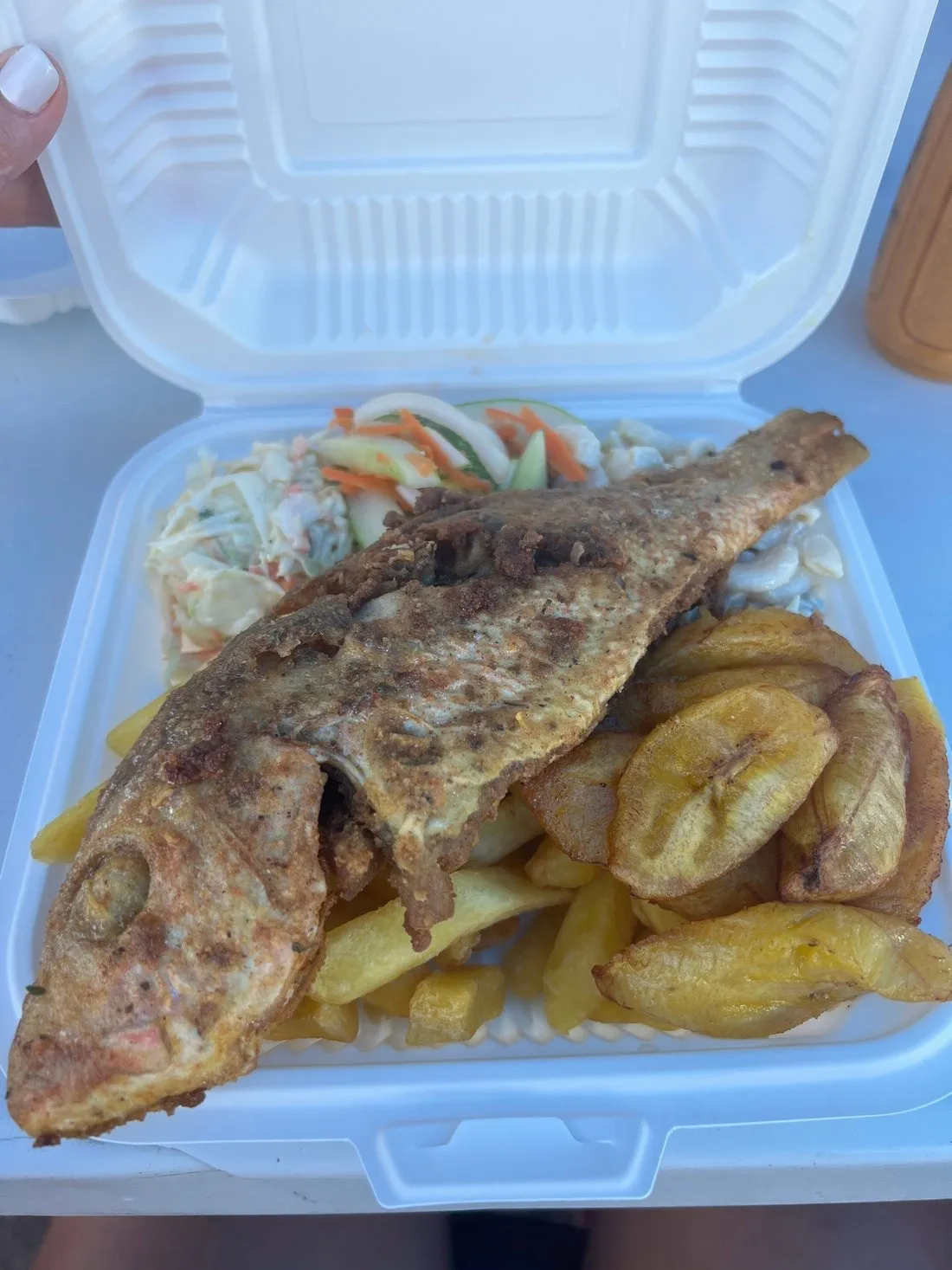 De Red Snapper Bar & Grill