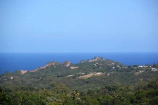 Livs lookout distant view