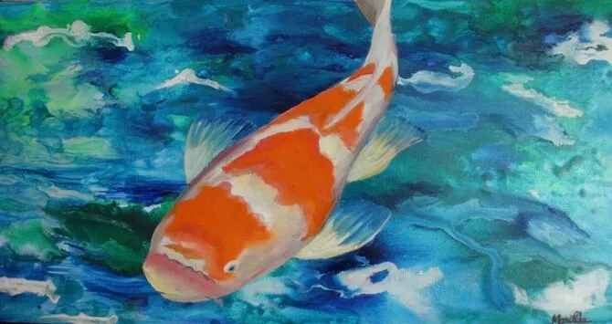 Koi