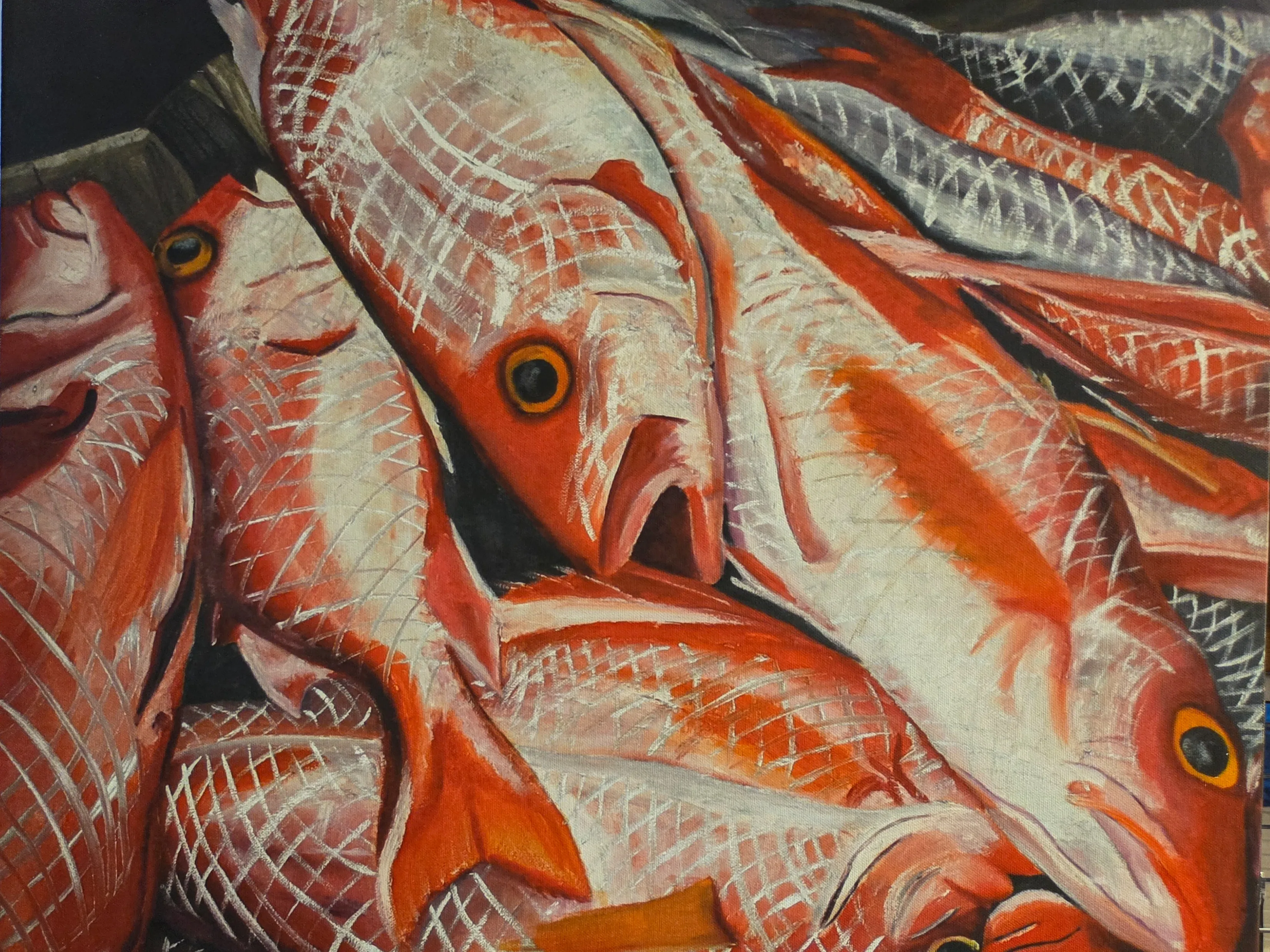 Barbados_Frangipani_Snapper_Jayne.jpg
