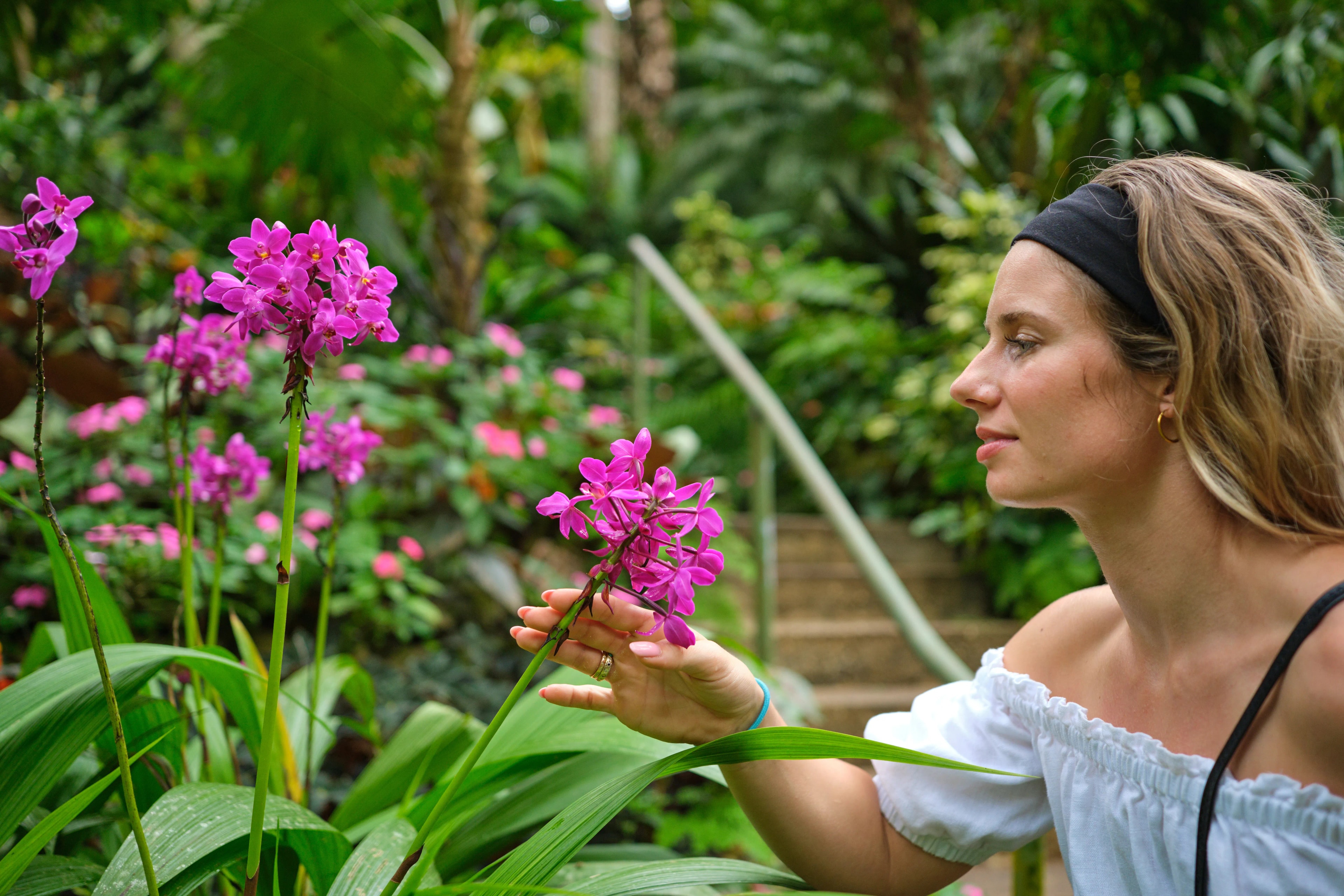 Barbados_From_Chukka Huntes Gardens_Purple_Flower_DSF8740.jpg