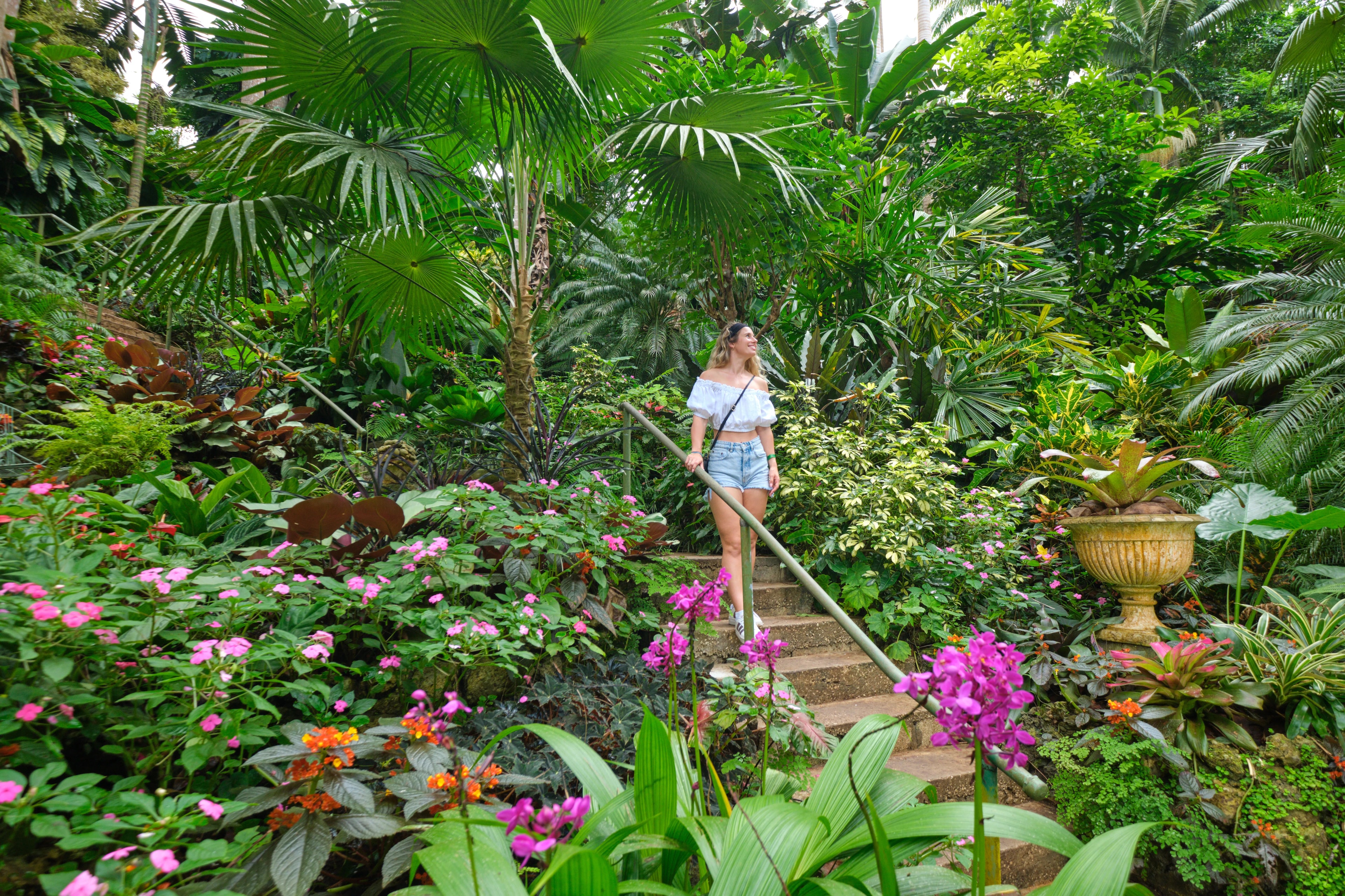 Barbados_From_Chukka_Huntes_Gardens_Stairs_DSF8716