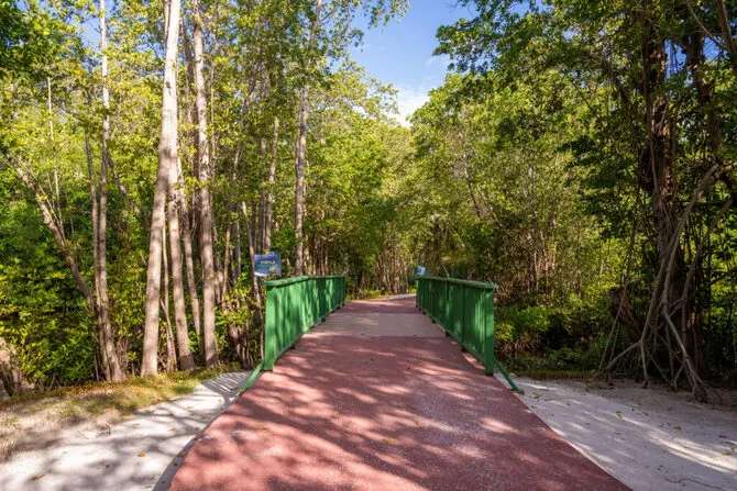 Mile Trail
