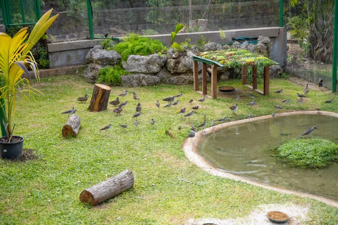Migratory Bird Zone