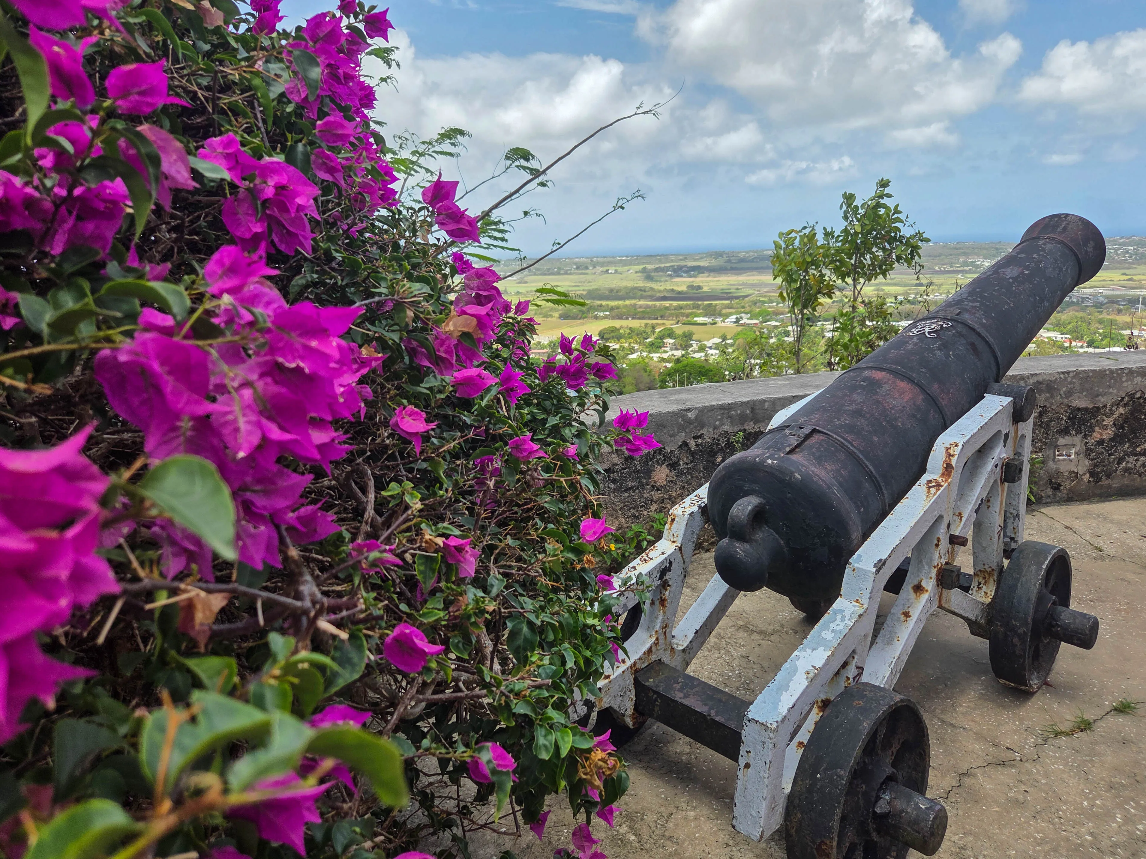 Barbados_Gun-Hill_Canon_Bouganvillea_Jayne.jpg