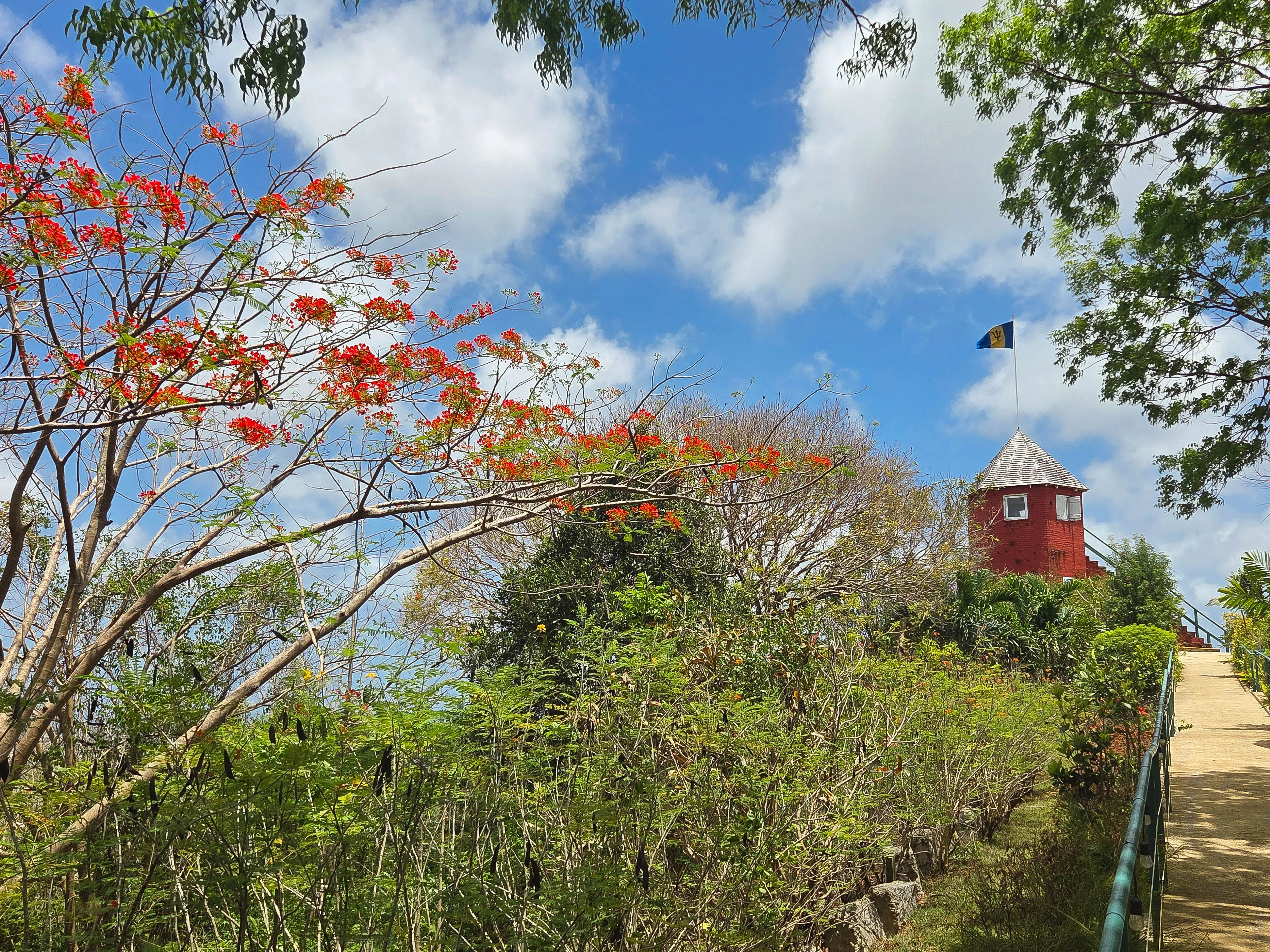 Barbados_Gun-Hill_View_Path_Jayne.jpg