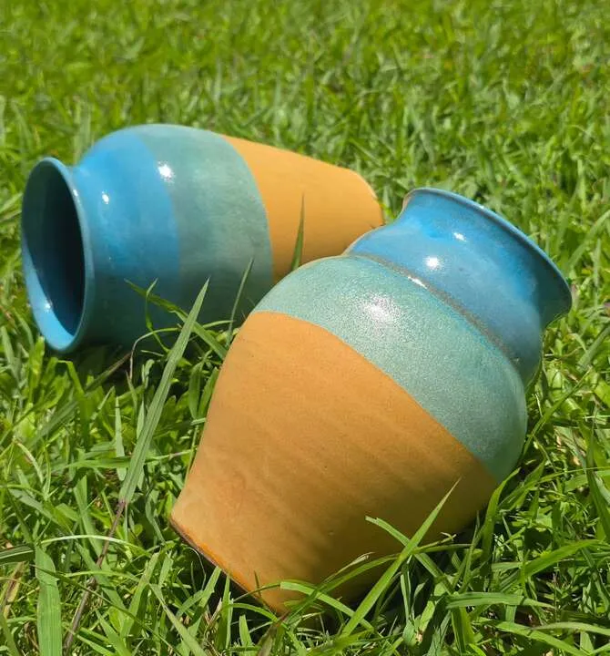 2 pots in the grass