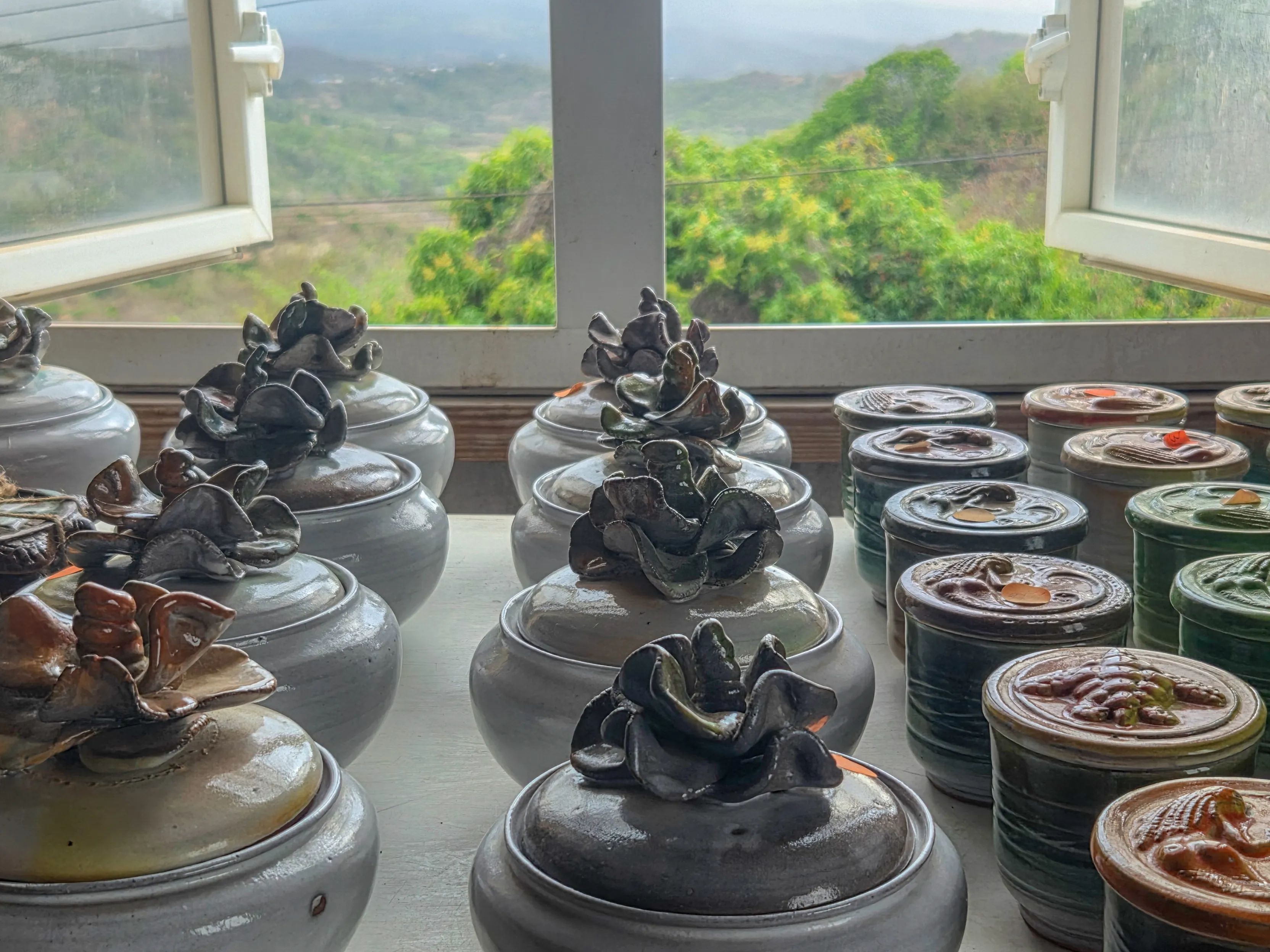 Barbados_Highland_Pottery_Window_Pots-Jayne.jpg