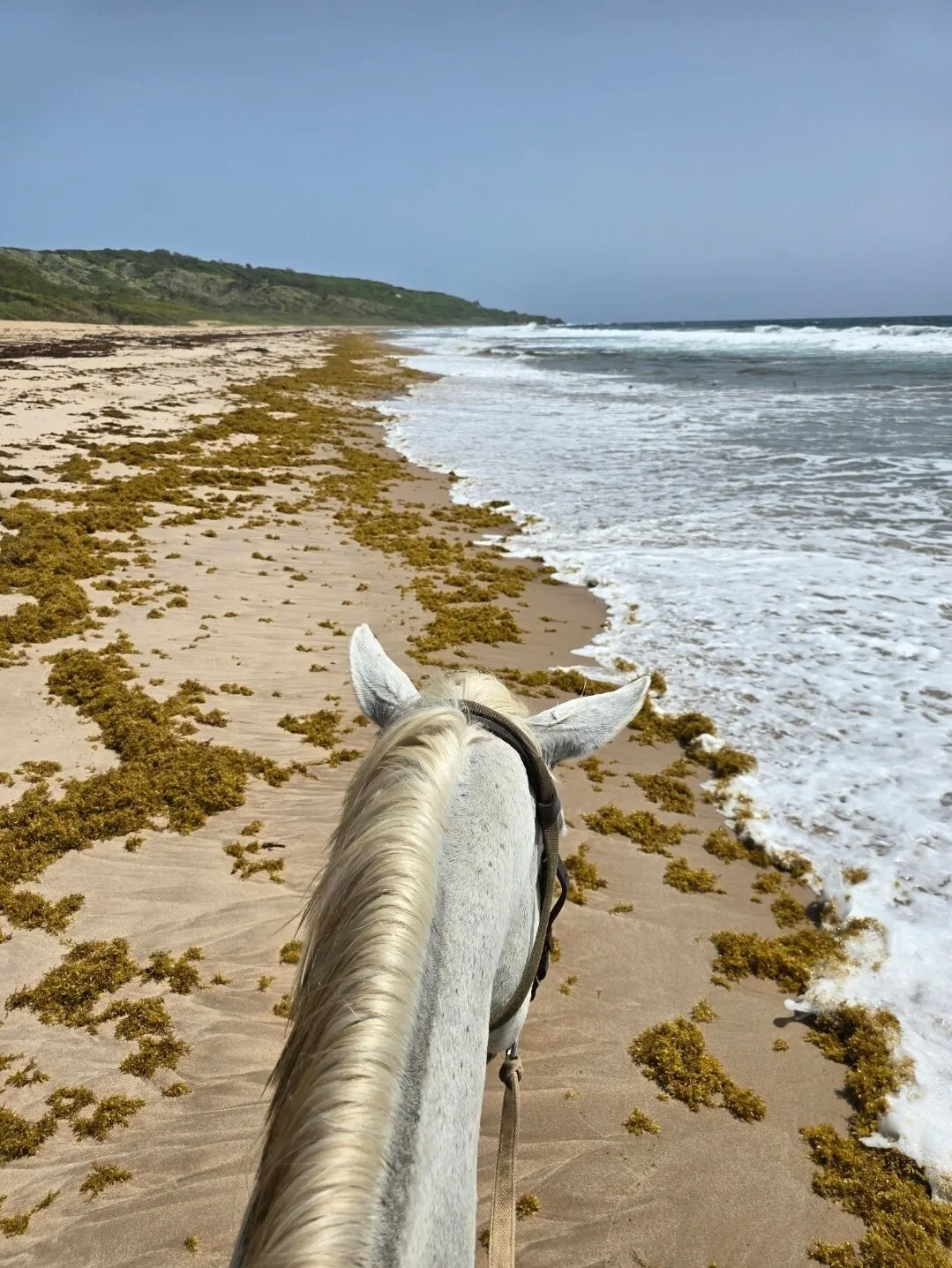 Jahworks Equestrian Center