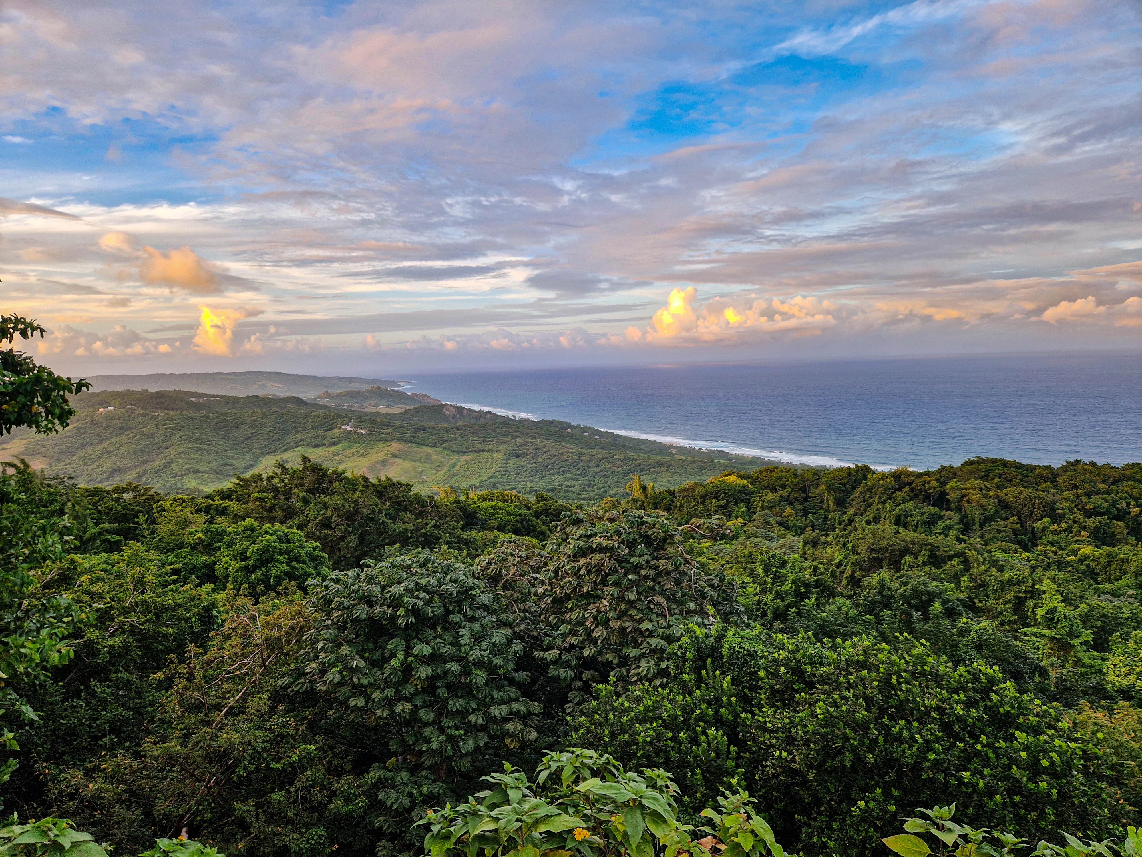 Barbados_Jayne_Hackletons_Cliff_View