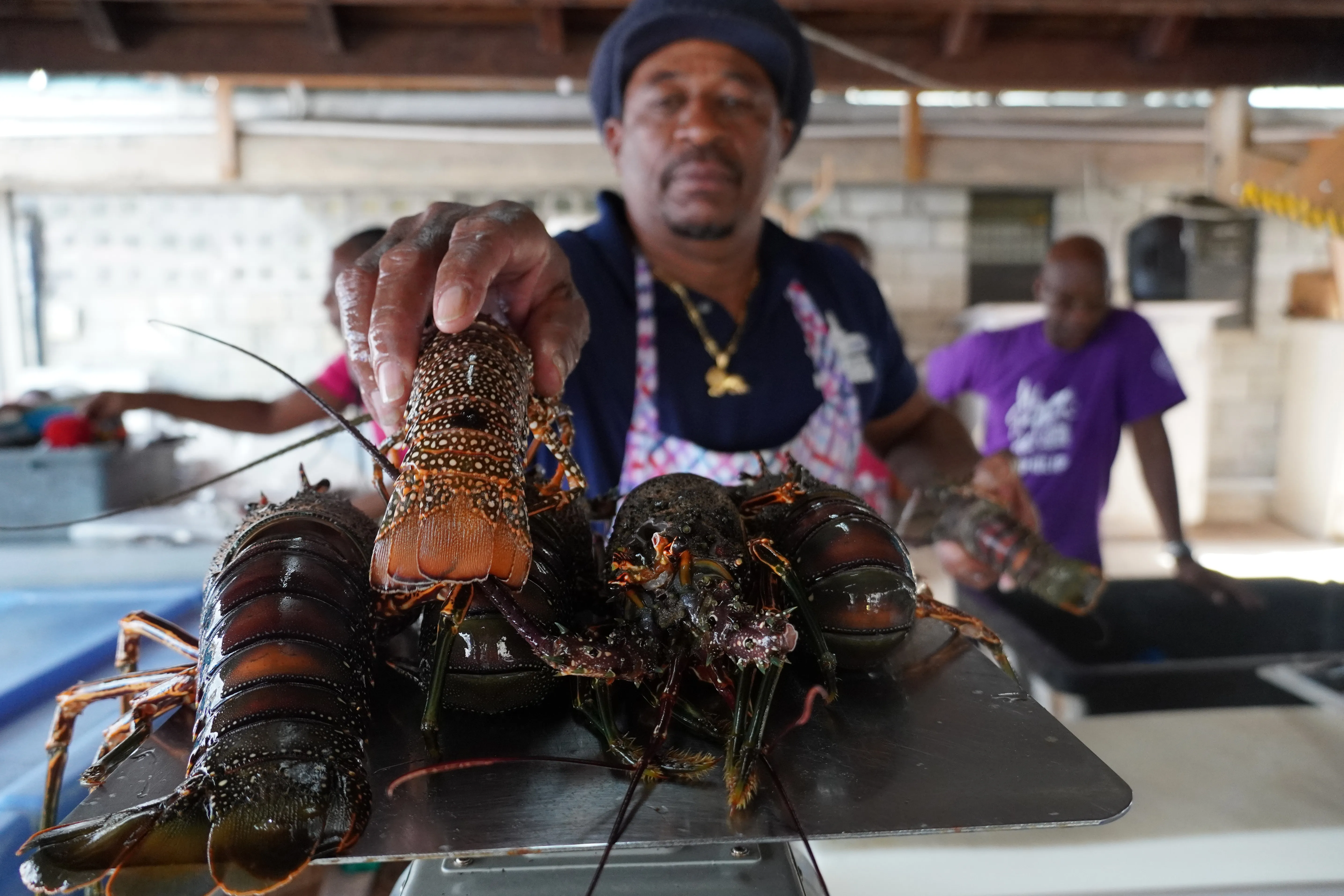 Barbados Oistins Fish Market