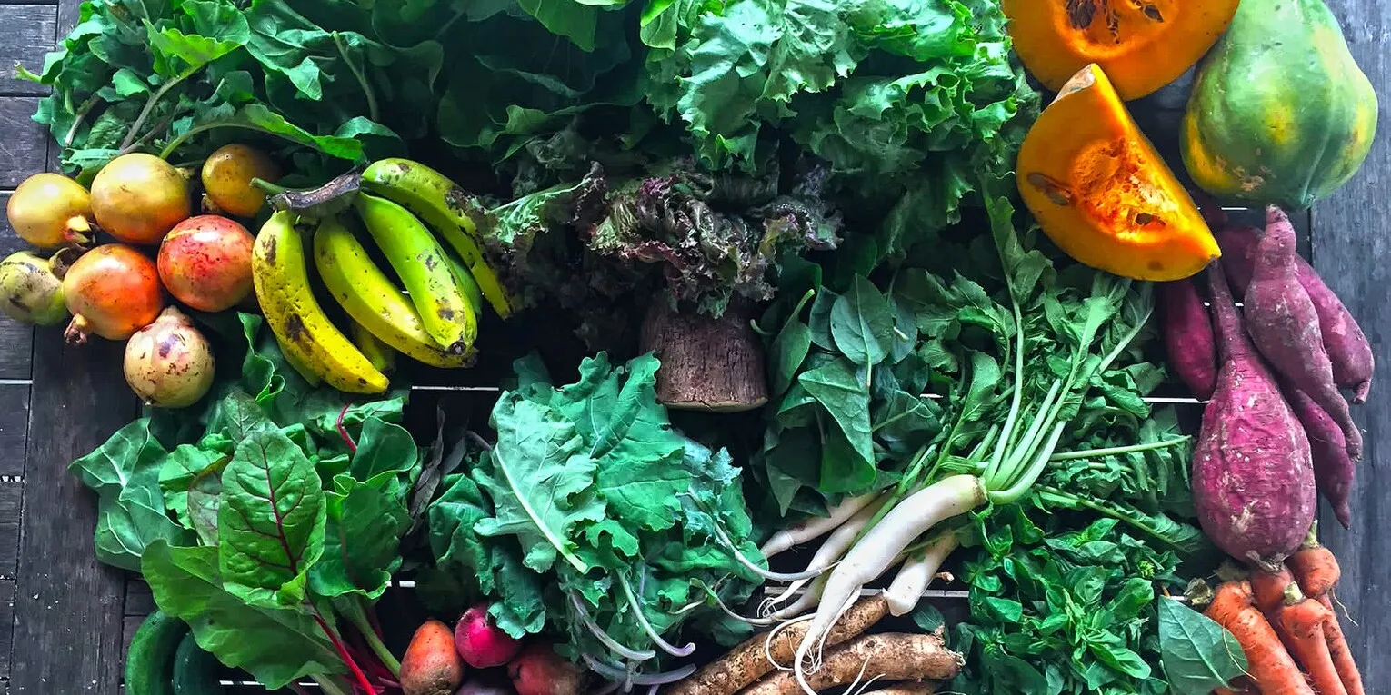 fresh produce