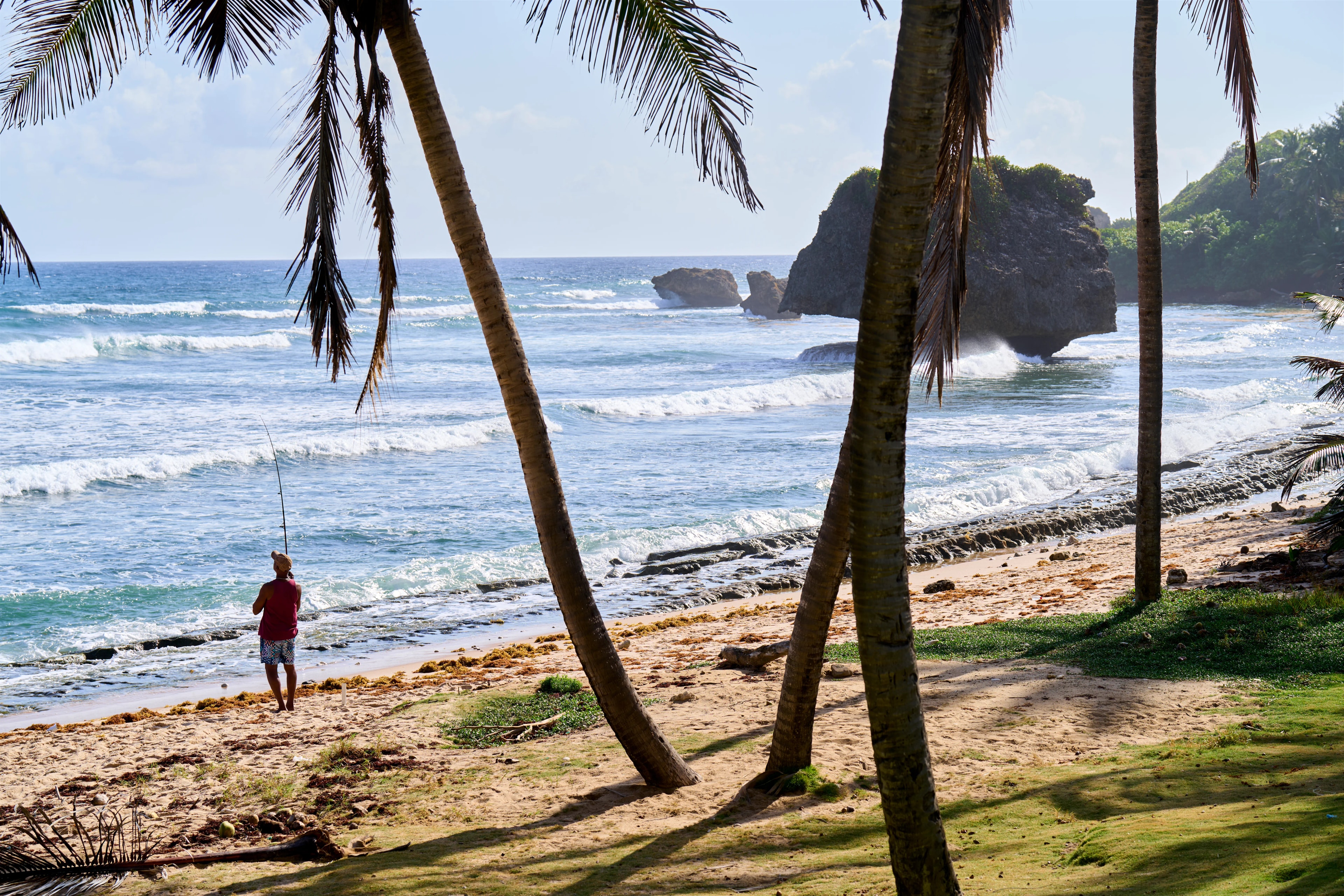 Barbados Martin's Bay