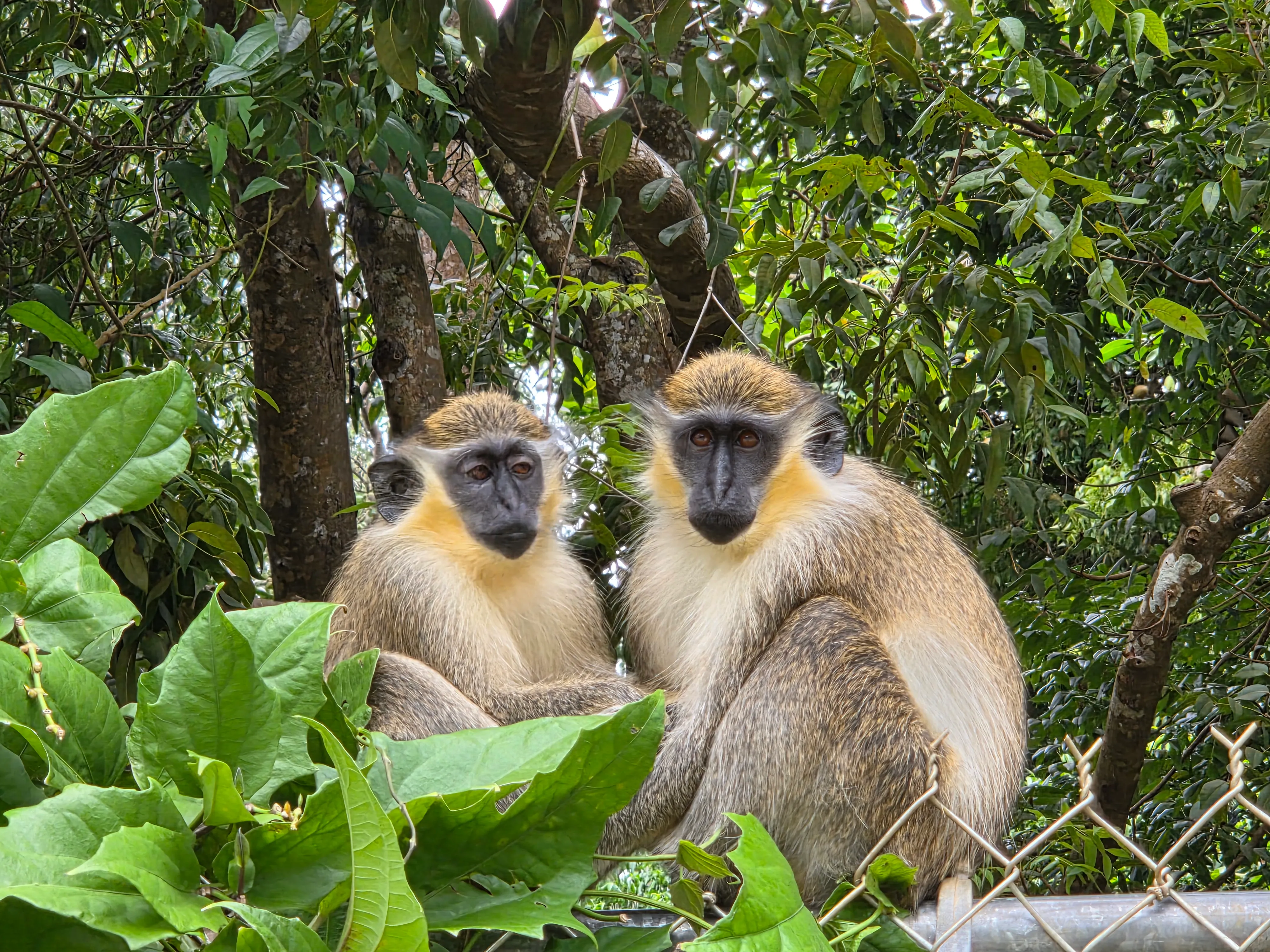 Grenade Hall Signal Station