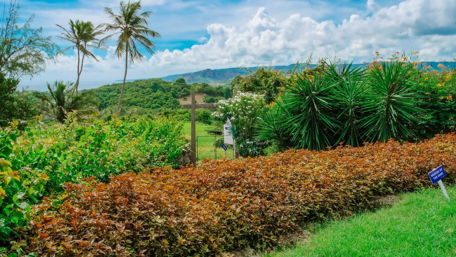 windmill surroundings