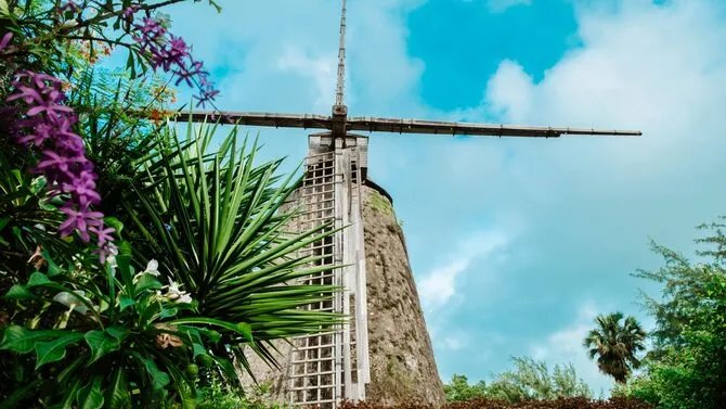 looking up at windmill