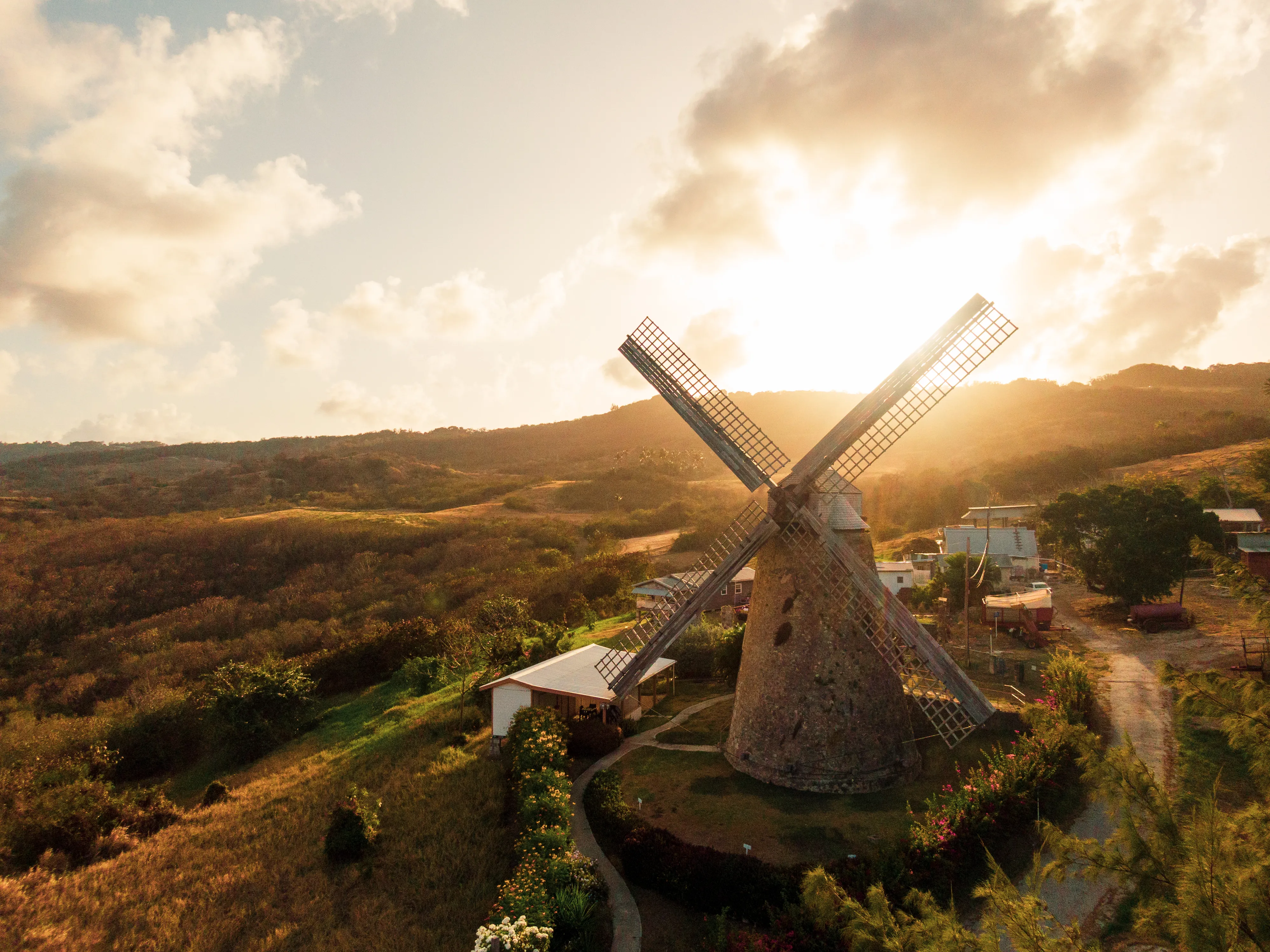 Barbados_Morgan_Lewis_Sunrise_BTMI_Horizontal.jpg