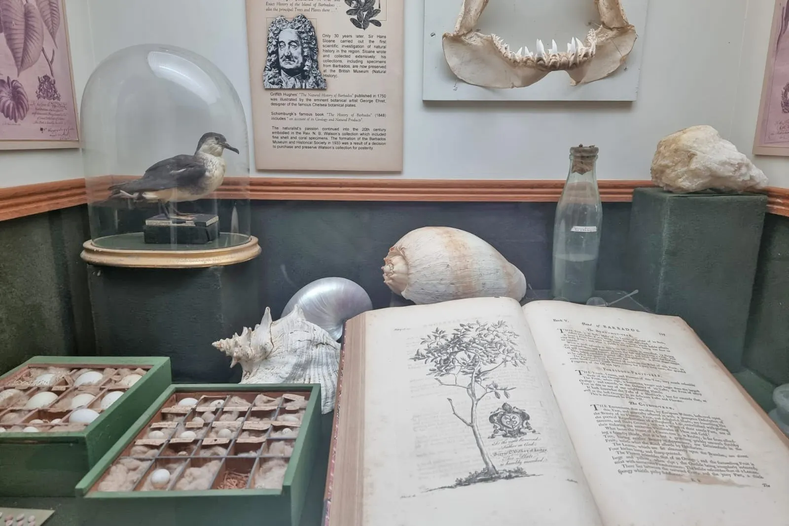 Barbados Museum and Historical Society