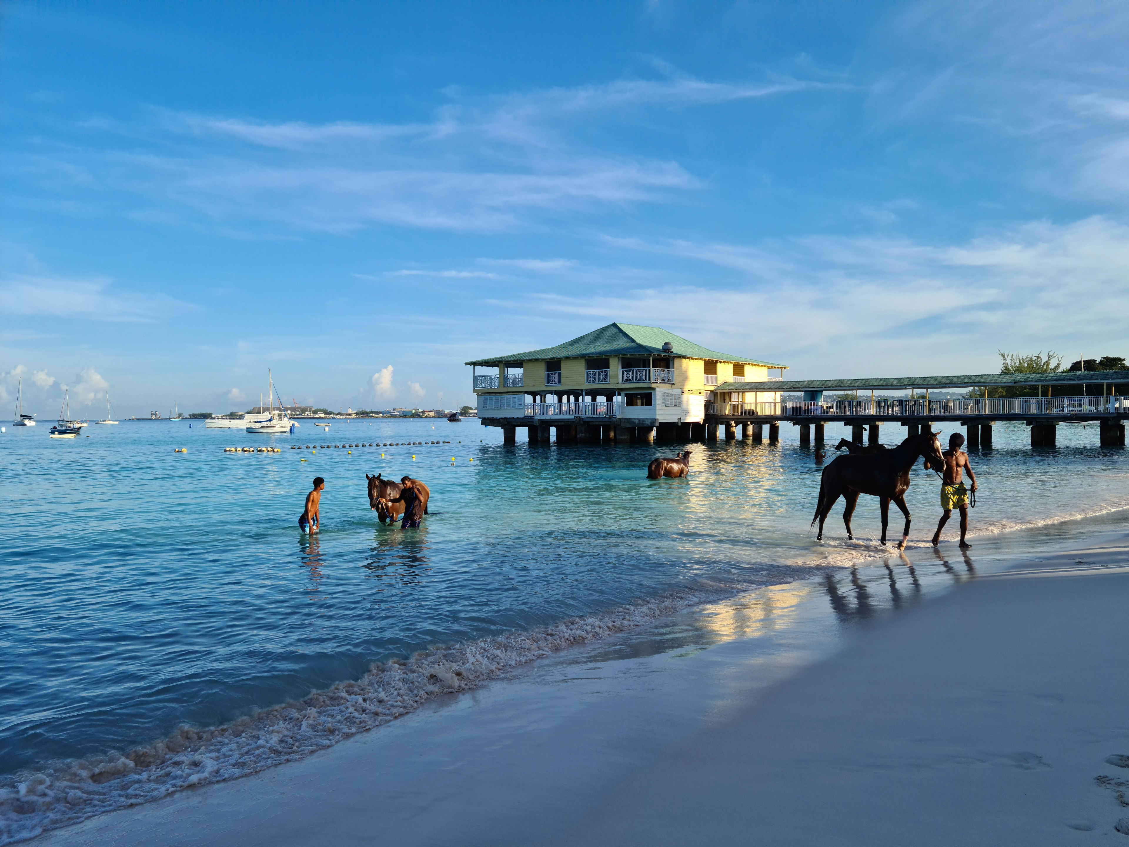 Barbados_Pebbles_Beach_Horses_Jayne