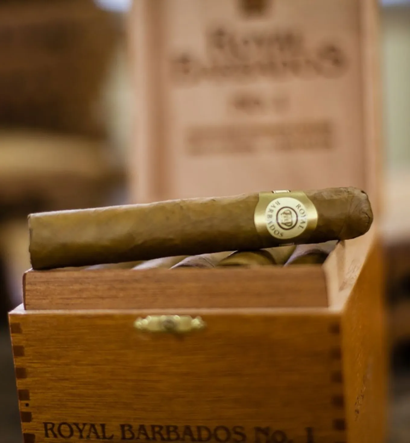 Royal Barbados Caribbean Cigar Company