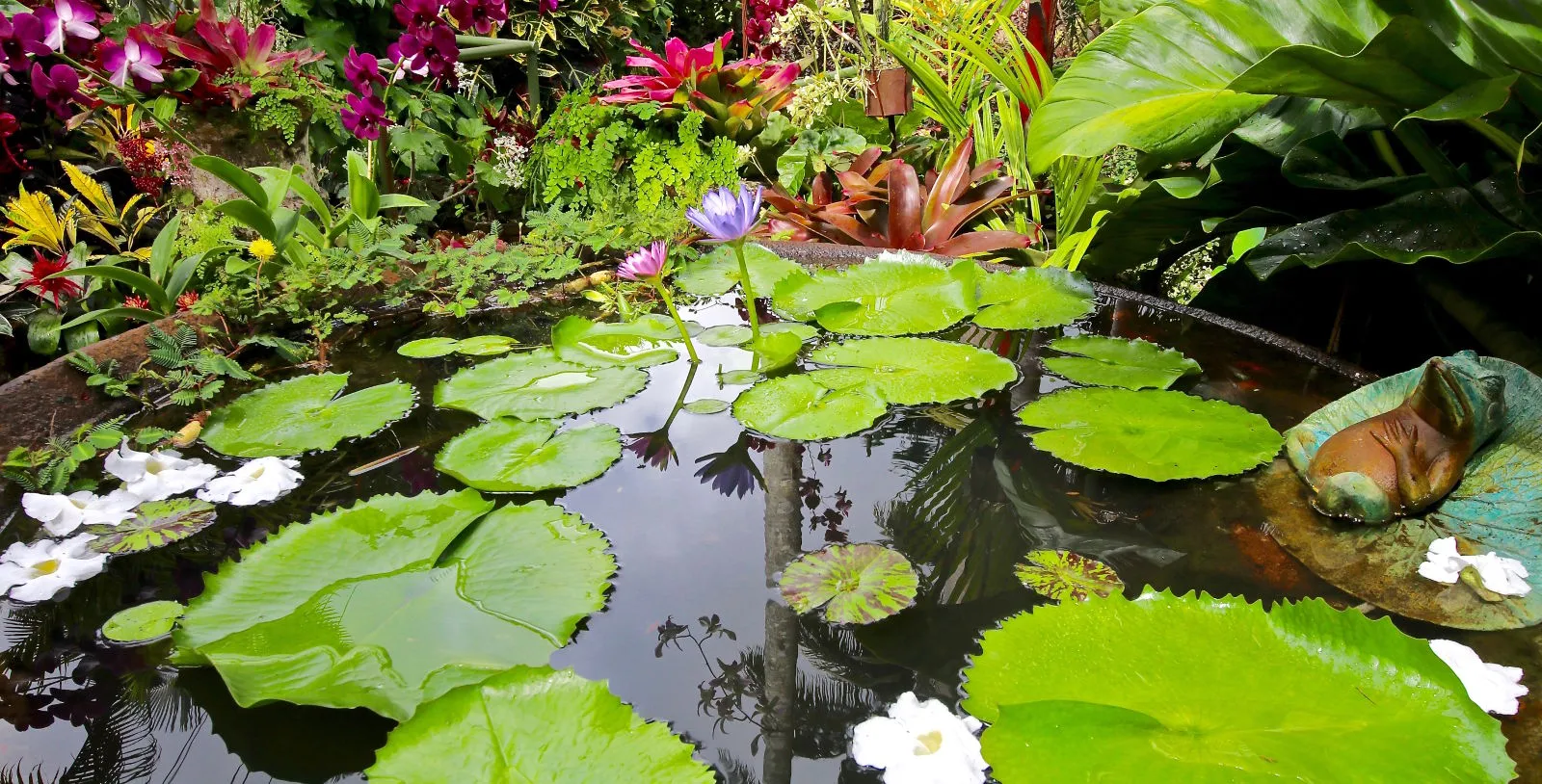 close up of a pool