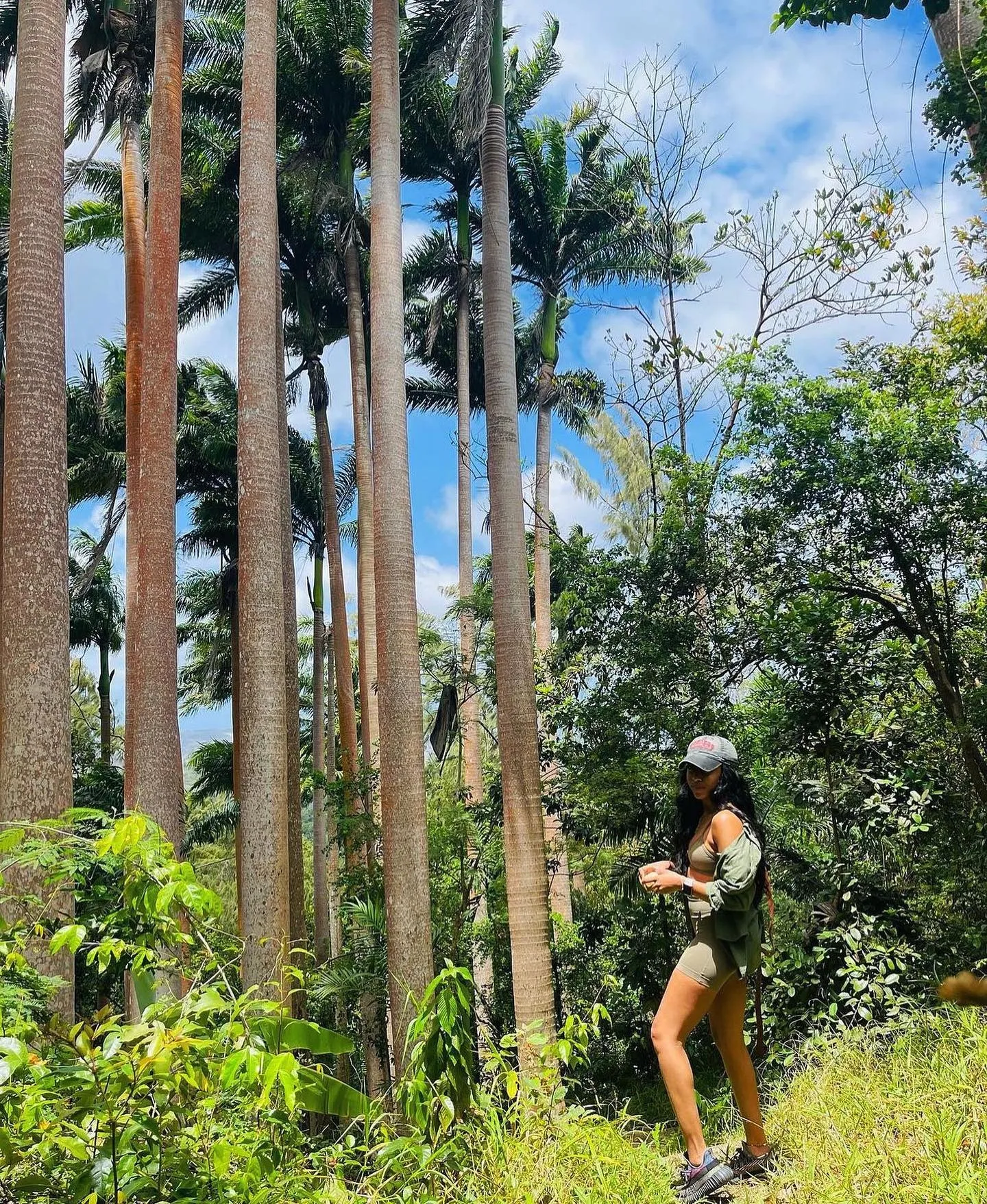 Coco Hill Forest