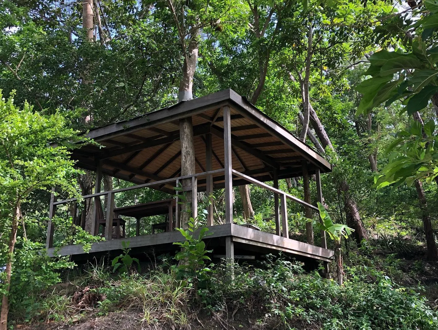 Coco Hill Forest