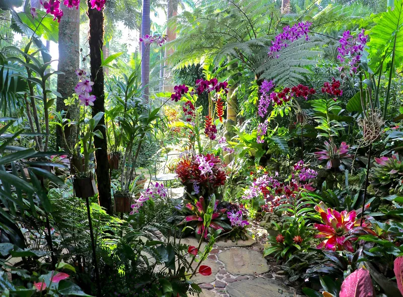 A colourful path