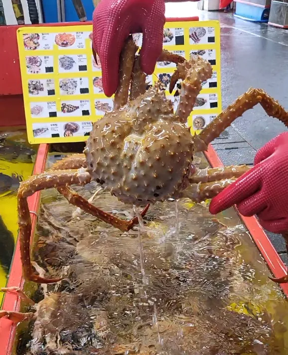 Oistens Fish Market
