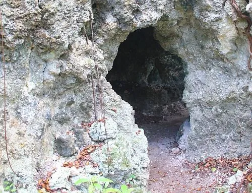 cave at grenade hall