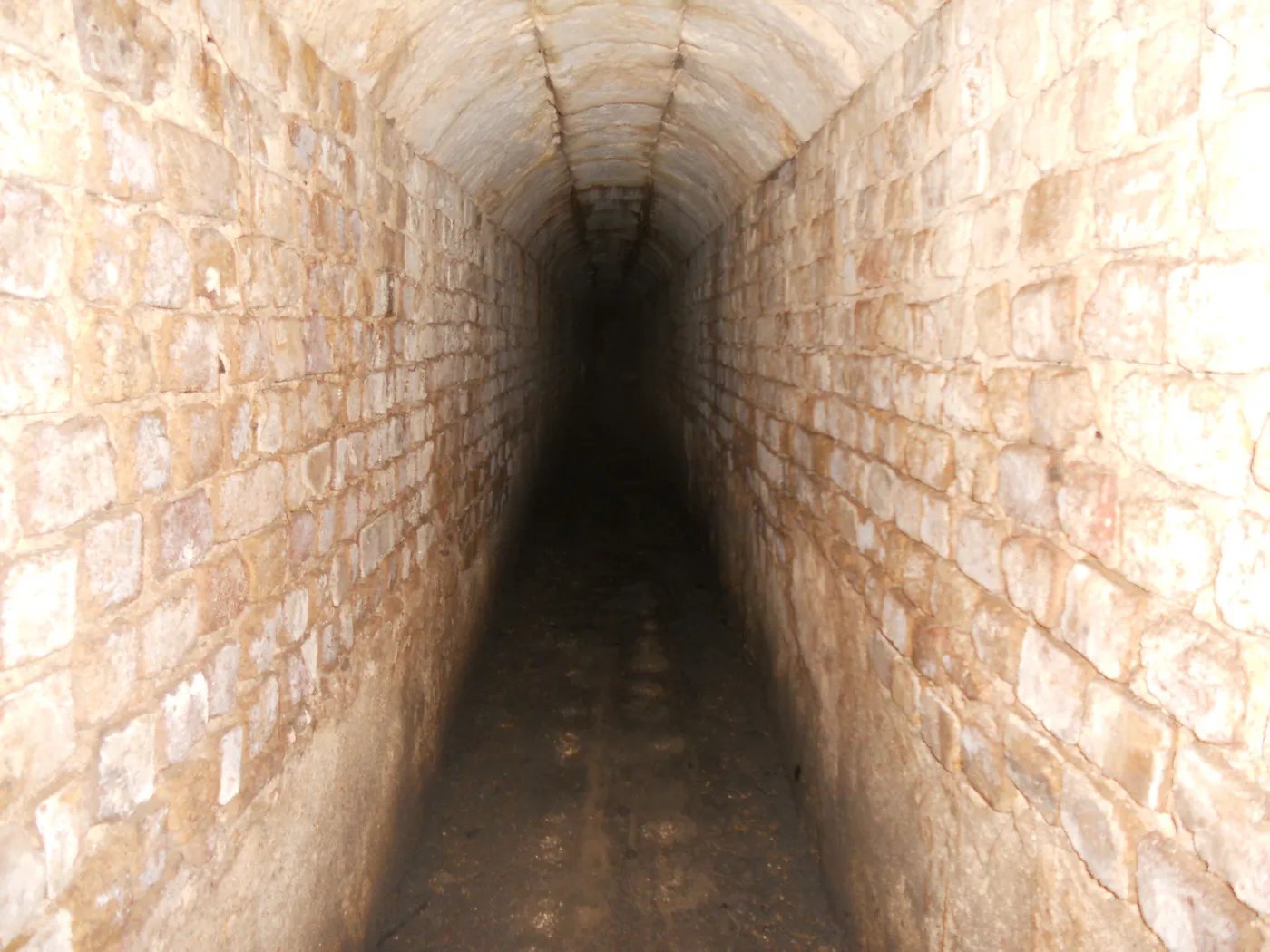 The tunnel