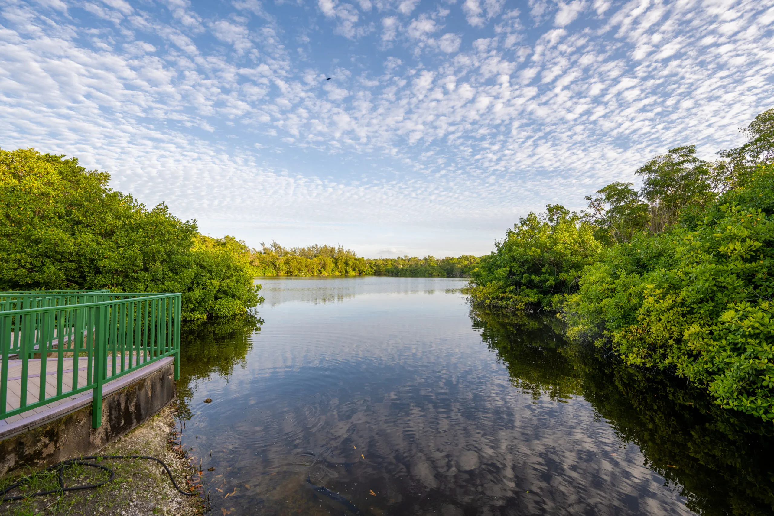 View across the lake
